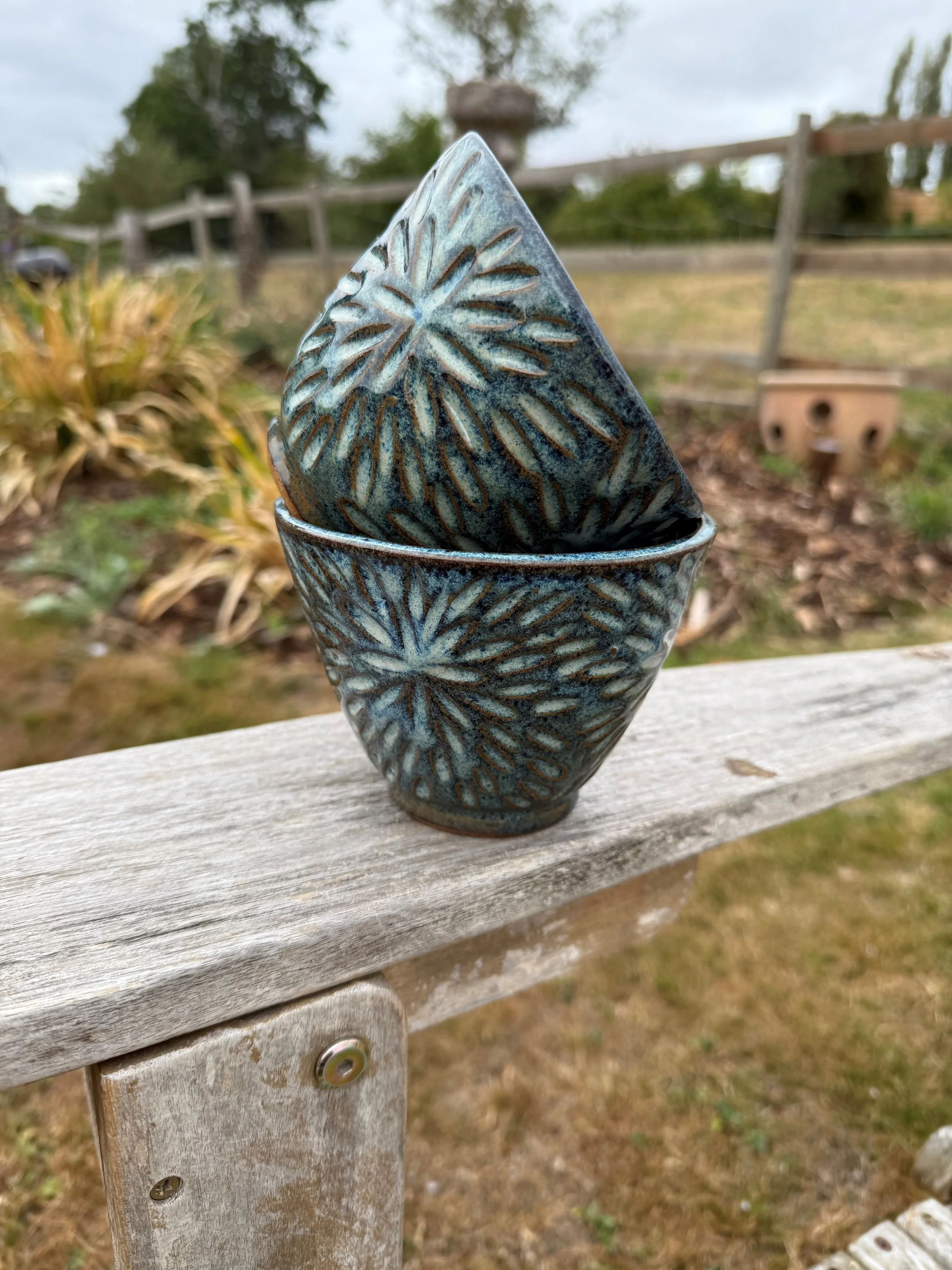 Ramen / Rice / Noodle Bowls (x2)