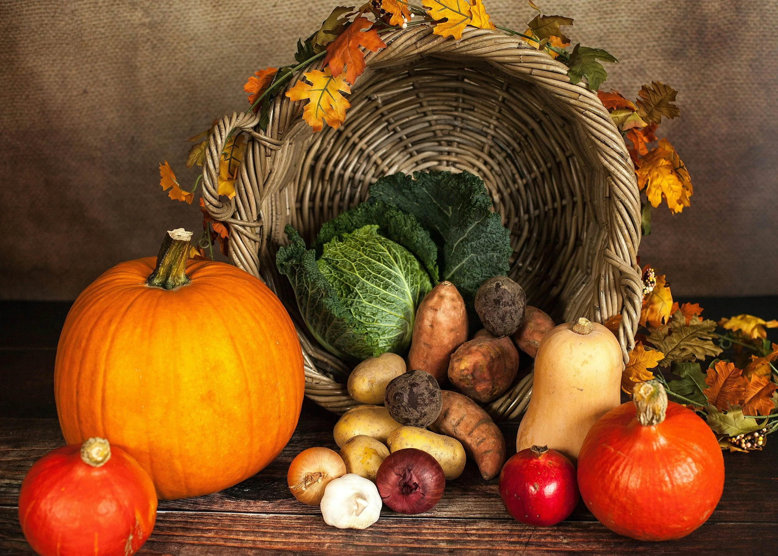 High Cortisol Levels - December 2025 Newsletter