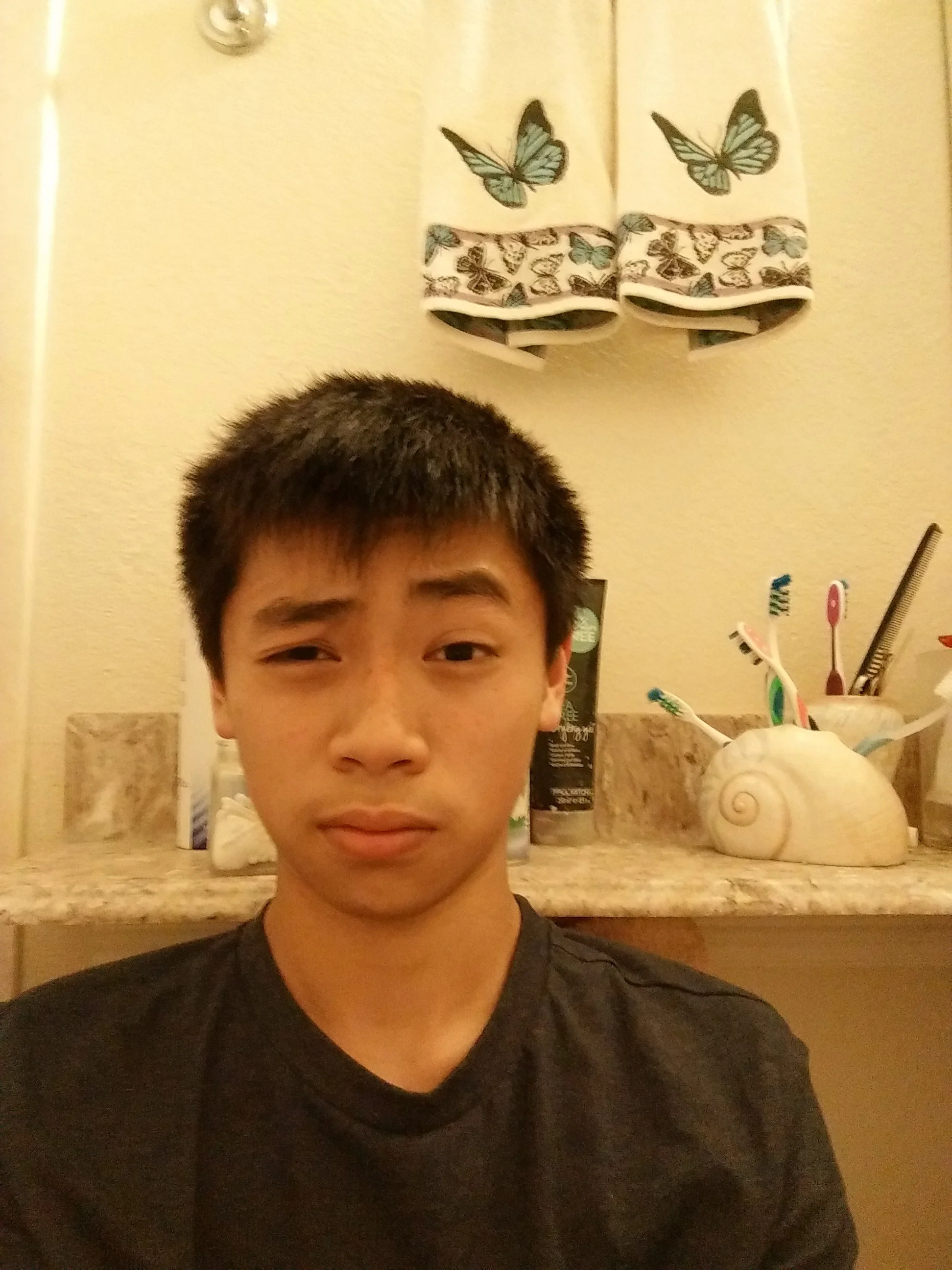 A young man with short dark hair and wearing a black t-shirt taking a selfie in a bathroom. In the background, there is a marble countertop with a white seashell-shaped container, a collection of colored toothbrushes, a tube of toothpaste, a black flashlight, and a toothbrush holder. There is a white towel with a butterfly pattern hanging on the wall.