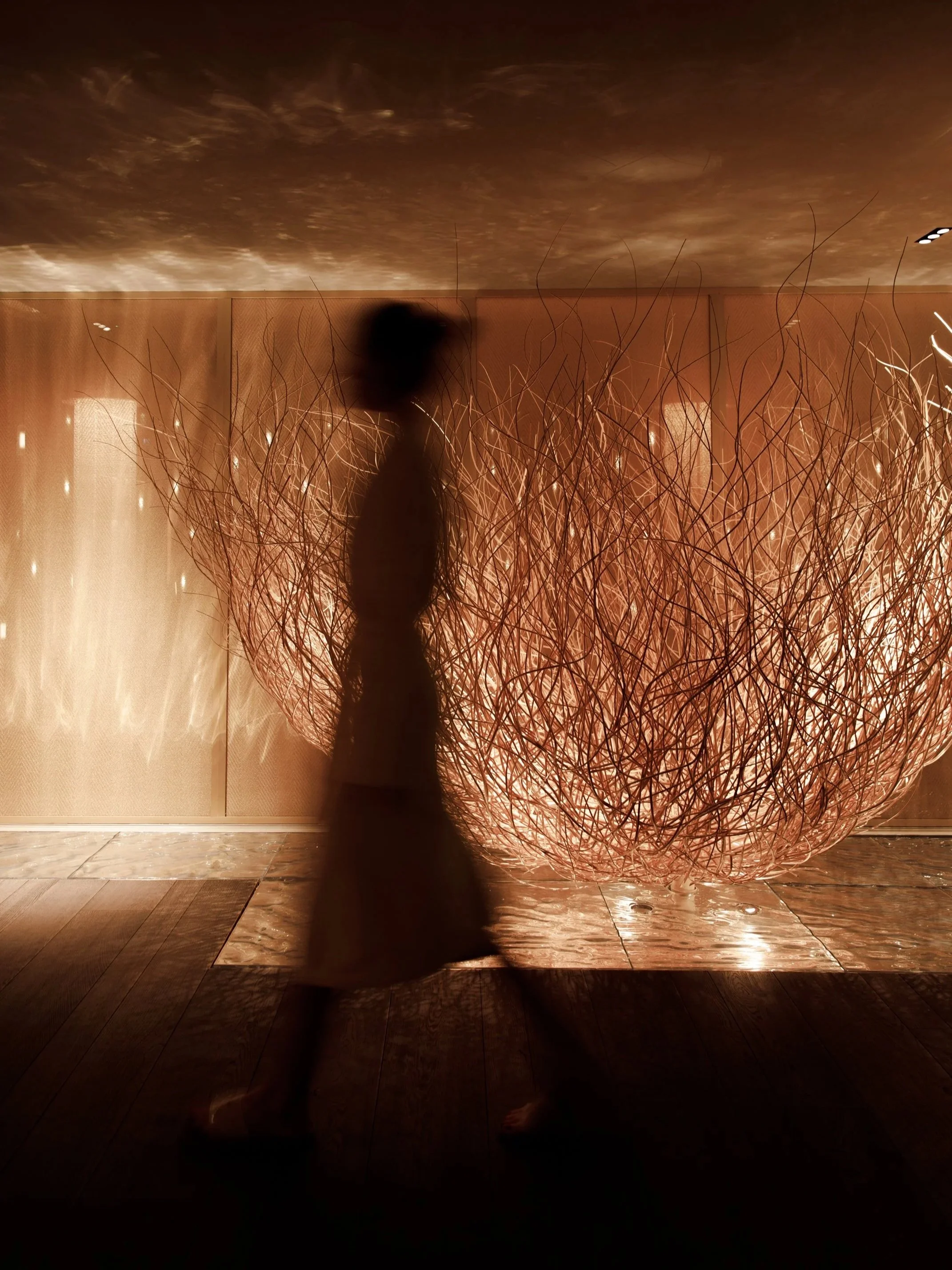 Shadow of a person standing in front of a large illuminated decorative spherical sculpture made of intertwined wire, with warm lighting and a wood floor.