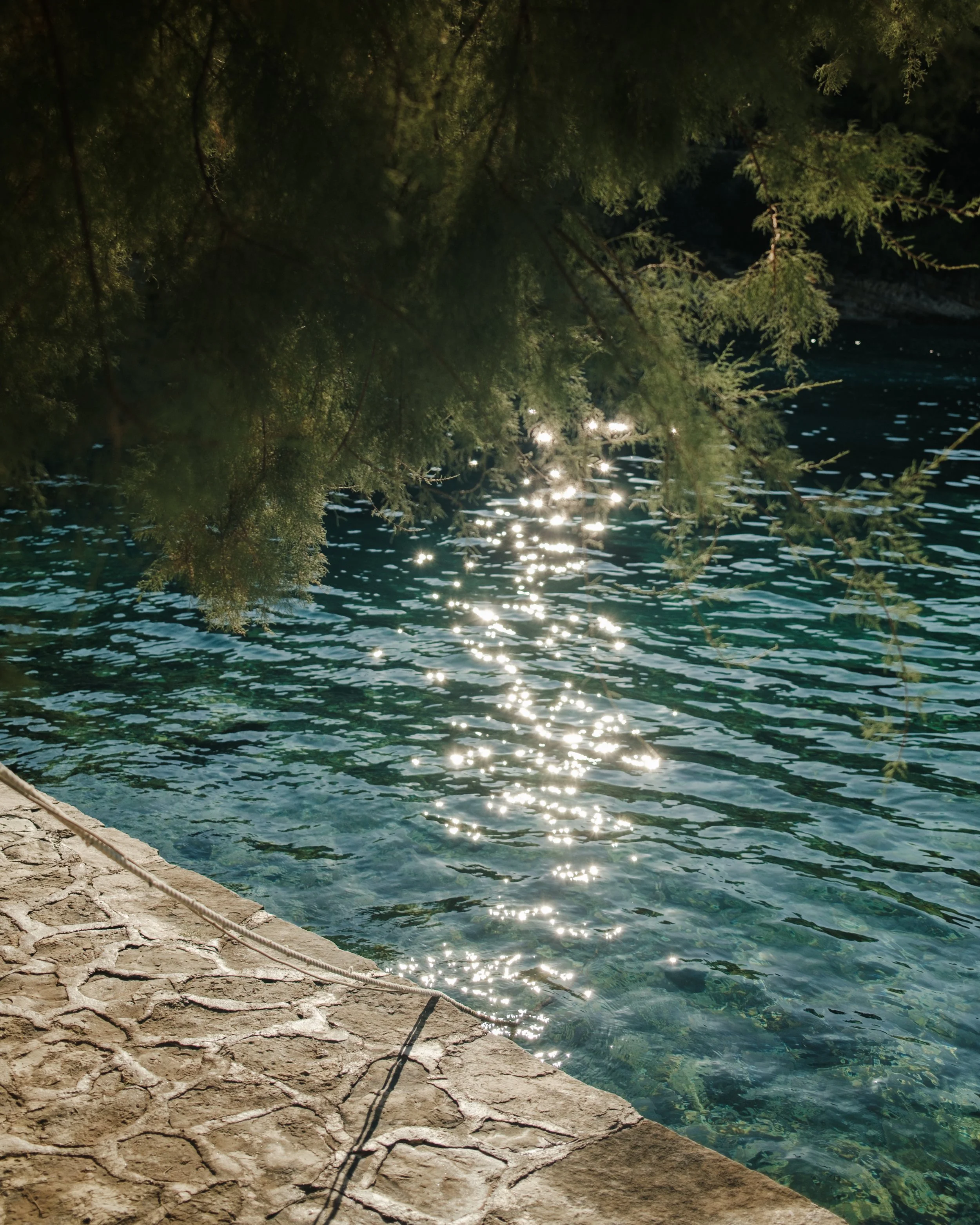Night scene of a stone pathway by a body of water, with tree branches hanging over the water and sunlight reflecting off the surface.