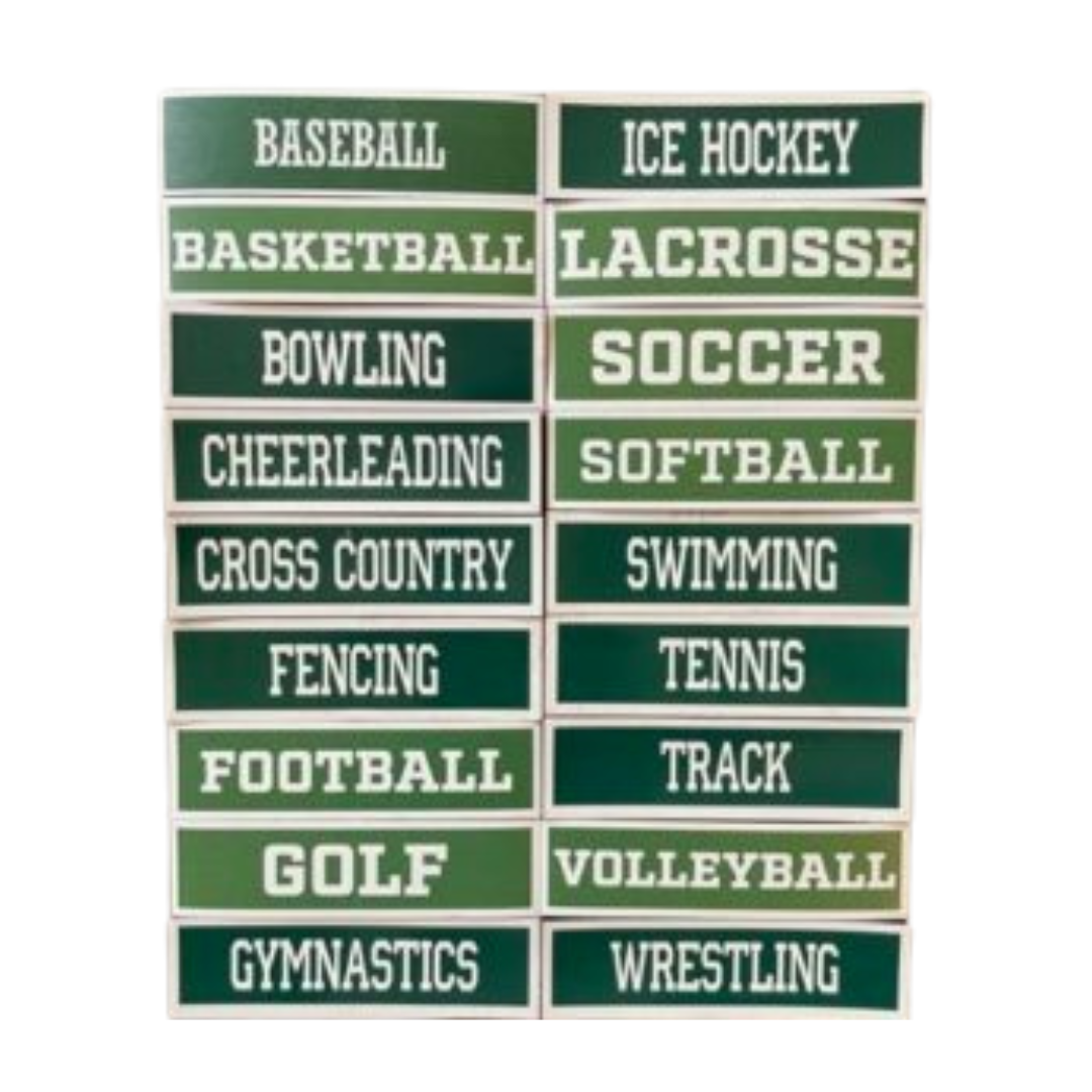 Ramapo Team Magnet