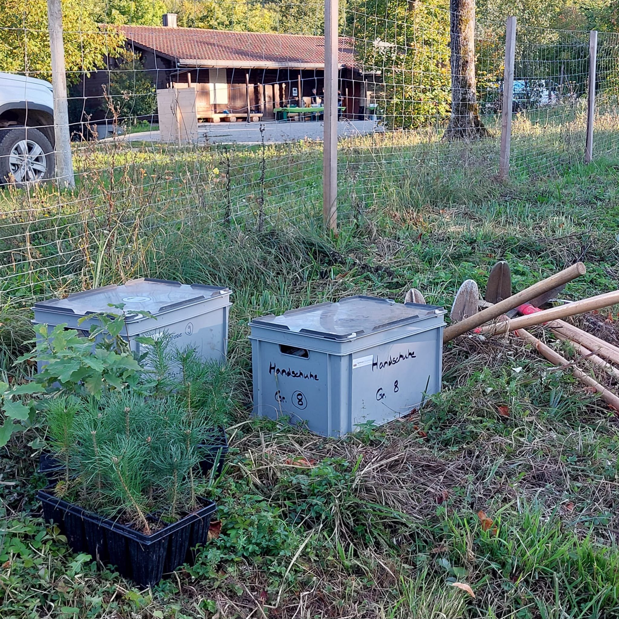 WhatsApp Image 2025-09-18 at 23.09.17 (1).jpeg