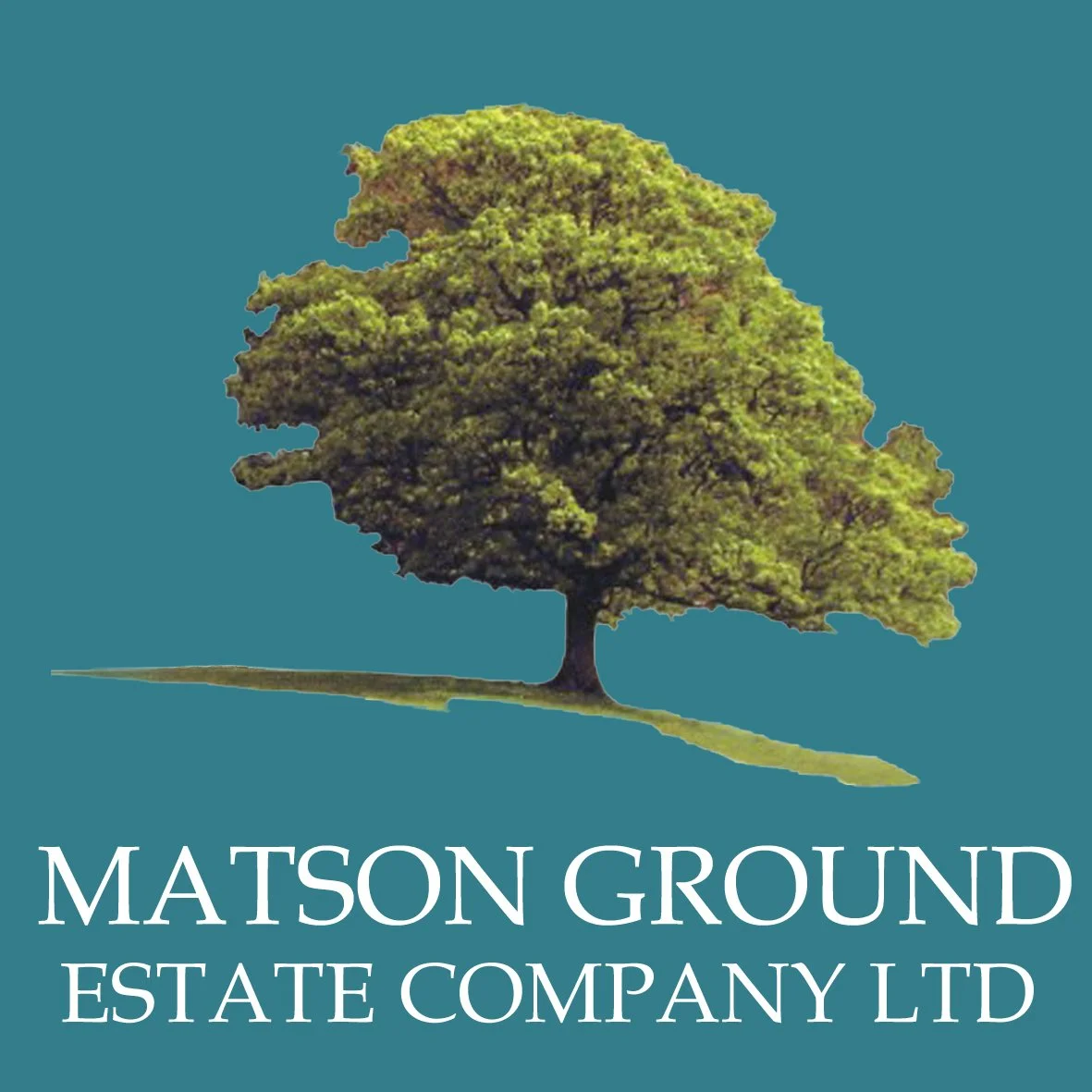Matson Ground Estate Company Ltd