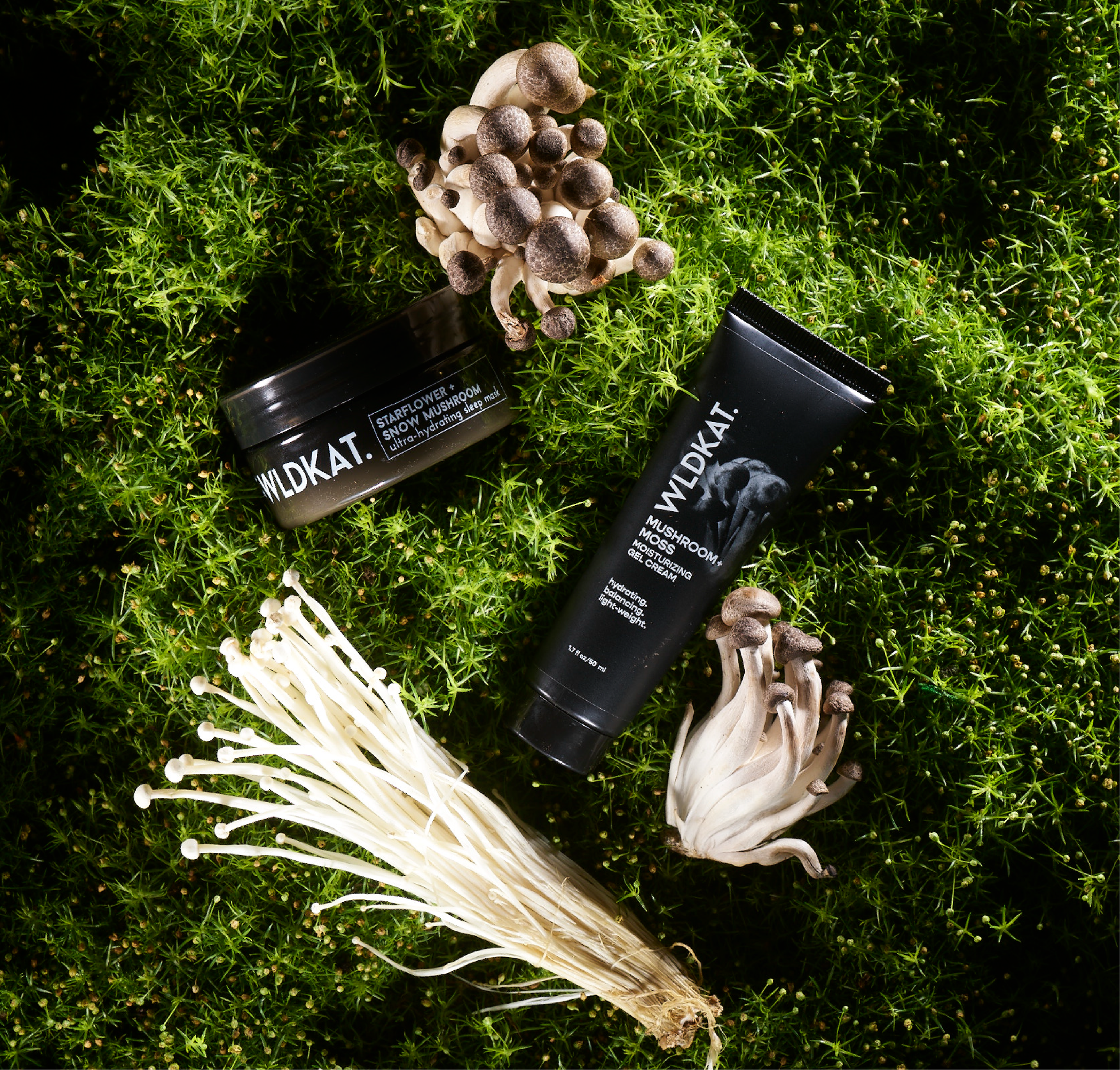 BHN Site header images-05.png