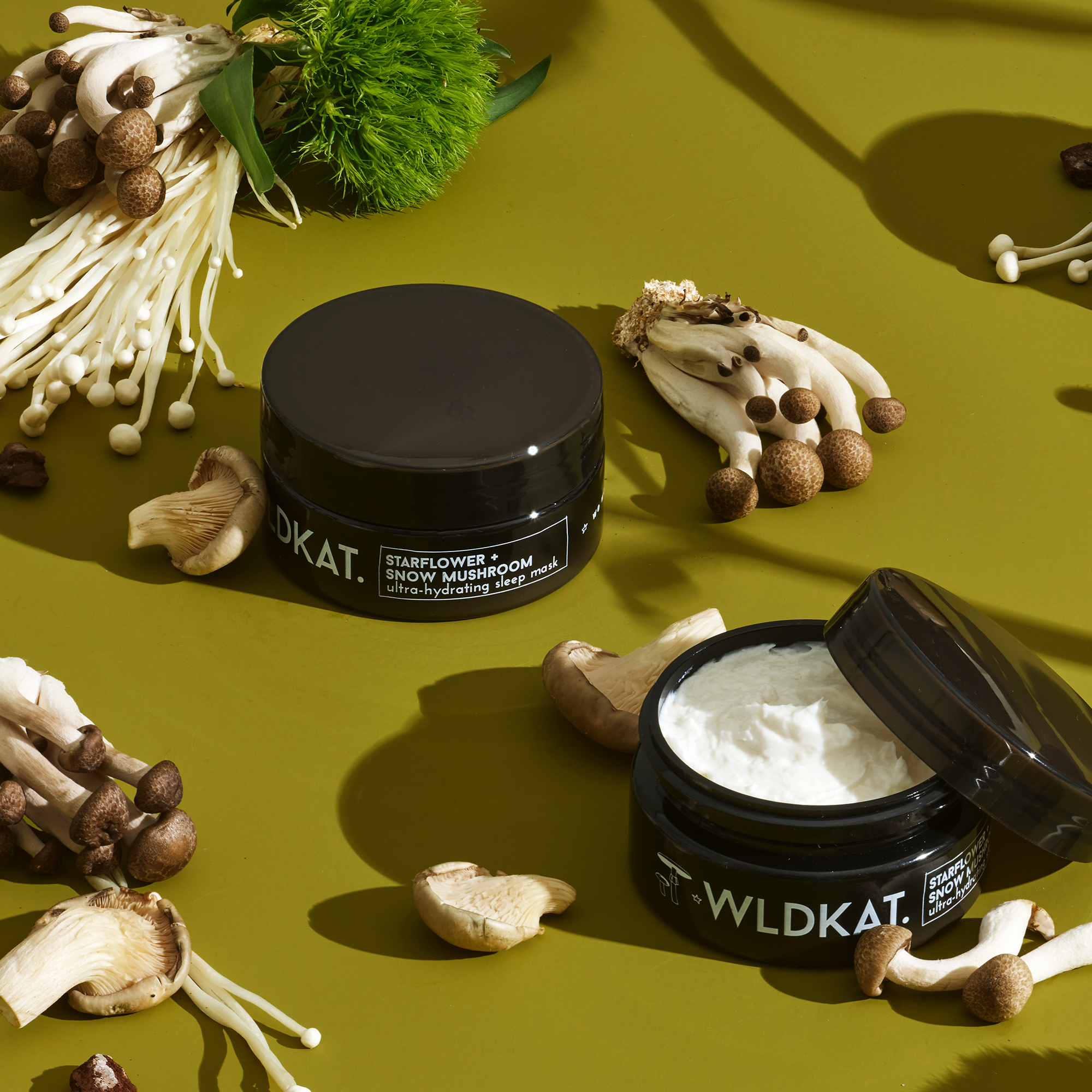 mushroom moss mask.png