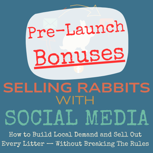 Pre- Sale --- Selling Rabbits with Social Media Course