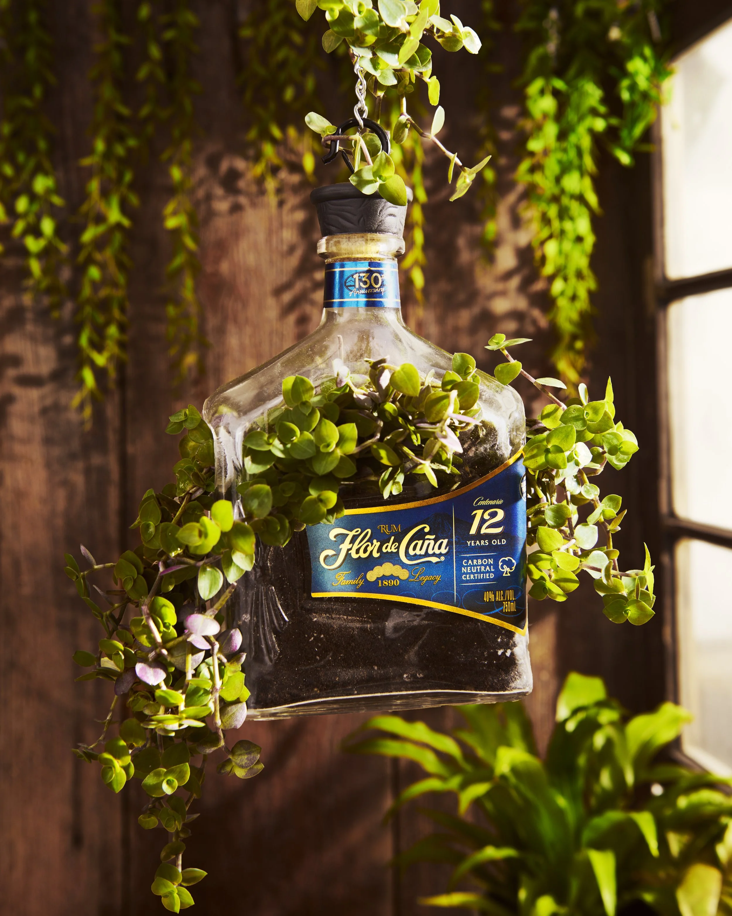FDC_112522_upcycledBottlePlanter5044.jpg