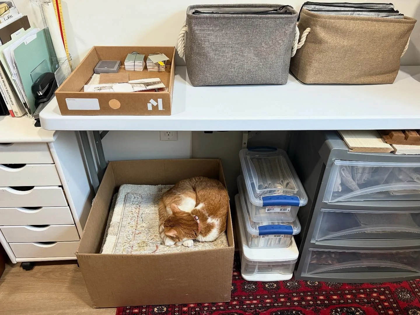 Winding down before Christmas with my prince and the pea 🫛 

#officemascot #acethecat #behindthescenes #interiordesign #designlibrary #rugsamples #petbed