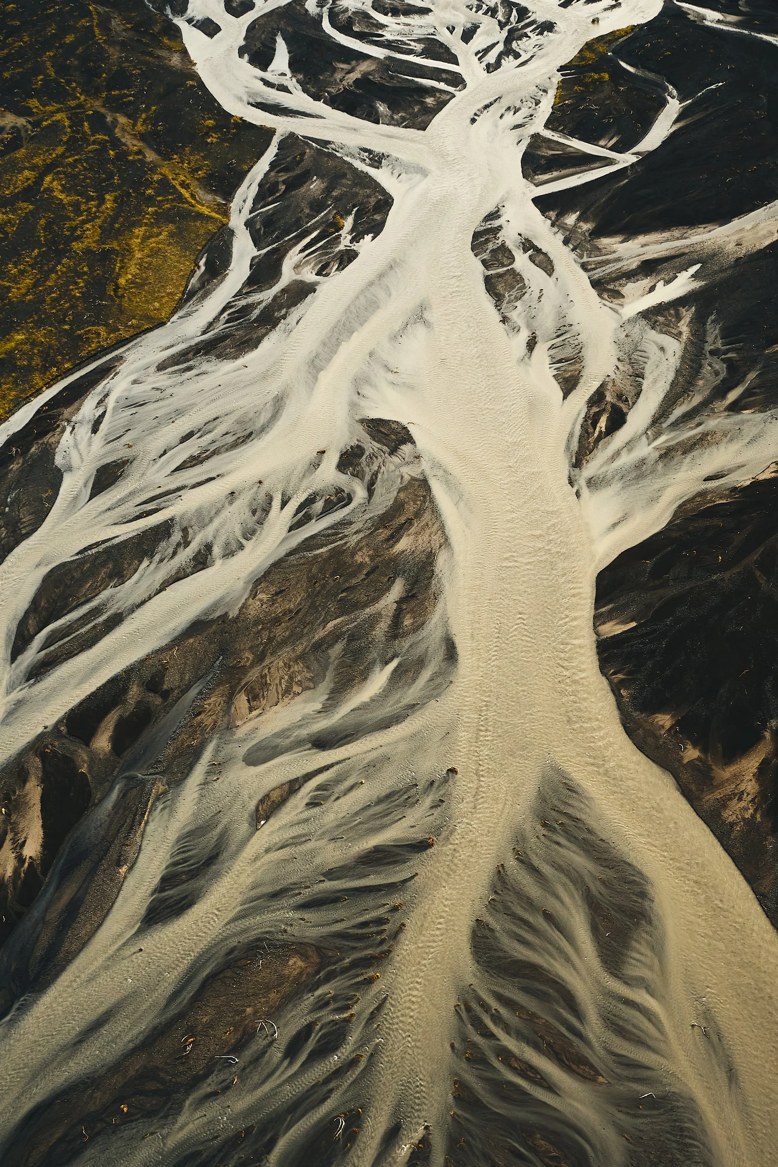 WILDMAN-HOODO_A932242.jpg