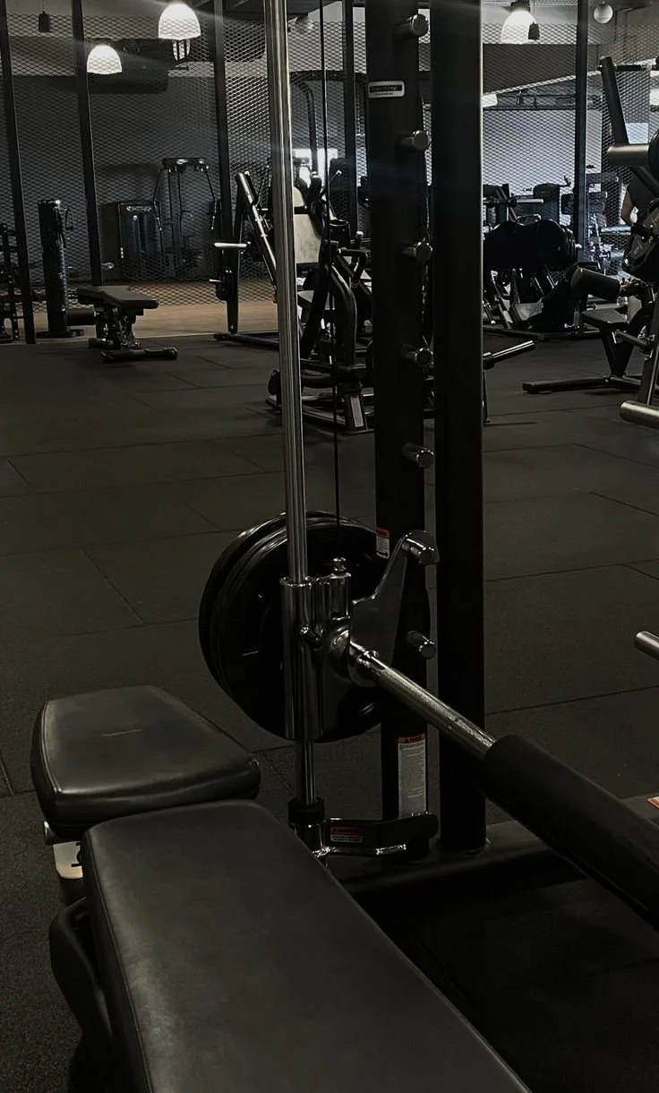 Level 2: Premium Coaching Plan (Online)