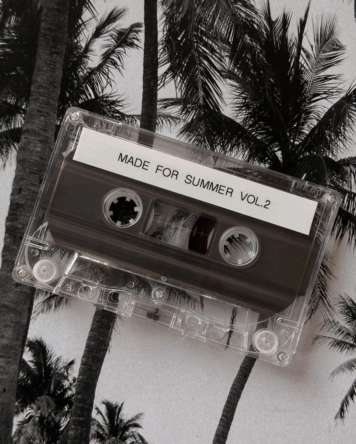 1751637060.176023588203 (1).jpeg