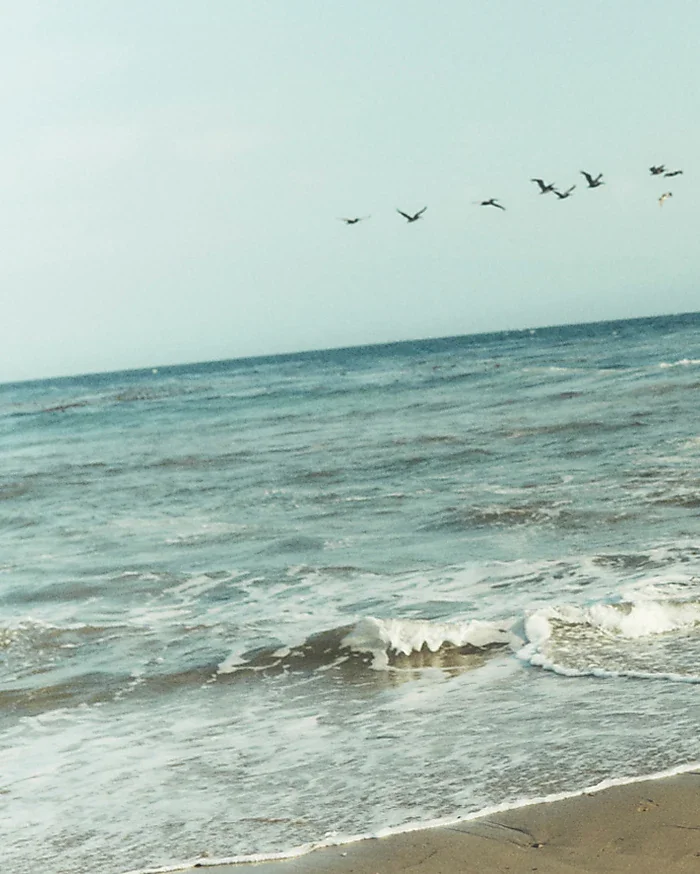 w-2025-aug1-live07-22-flyout-sale-img1 (1) (1).webp