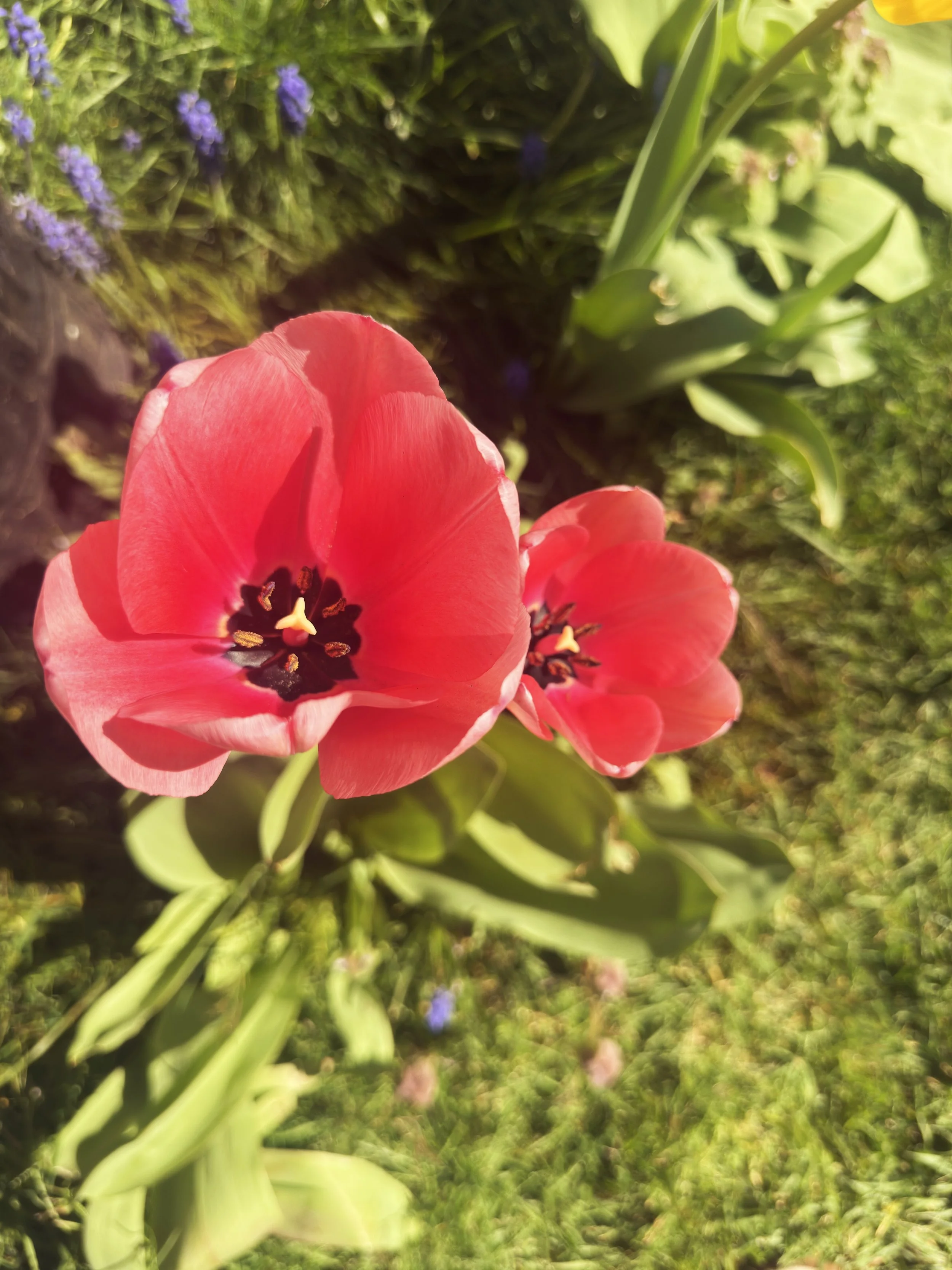 IMG_7751.jpeg