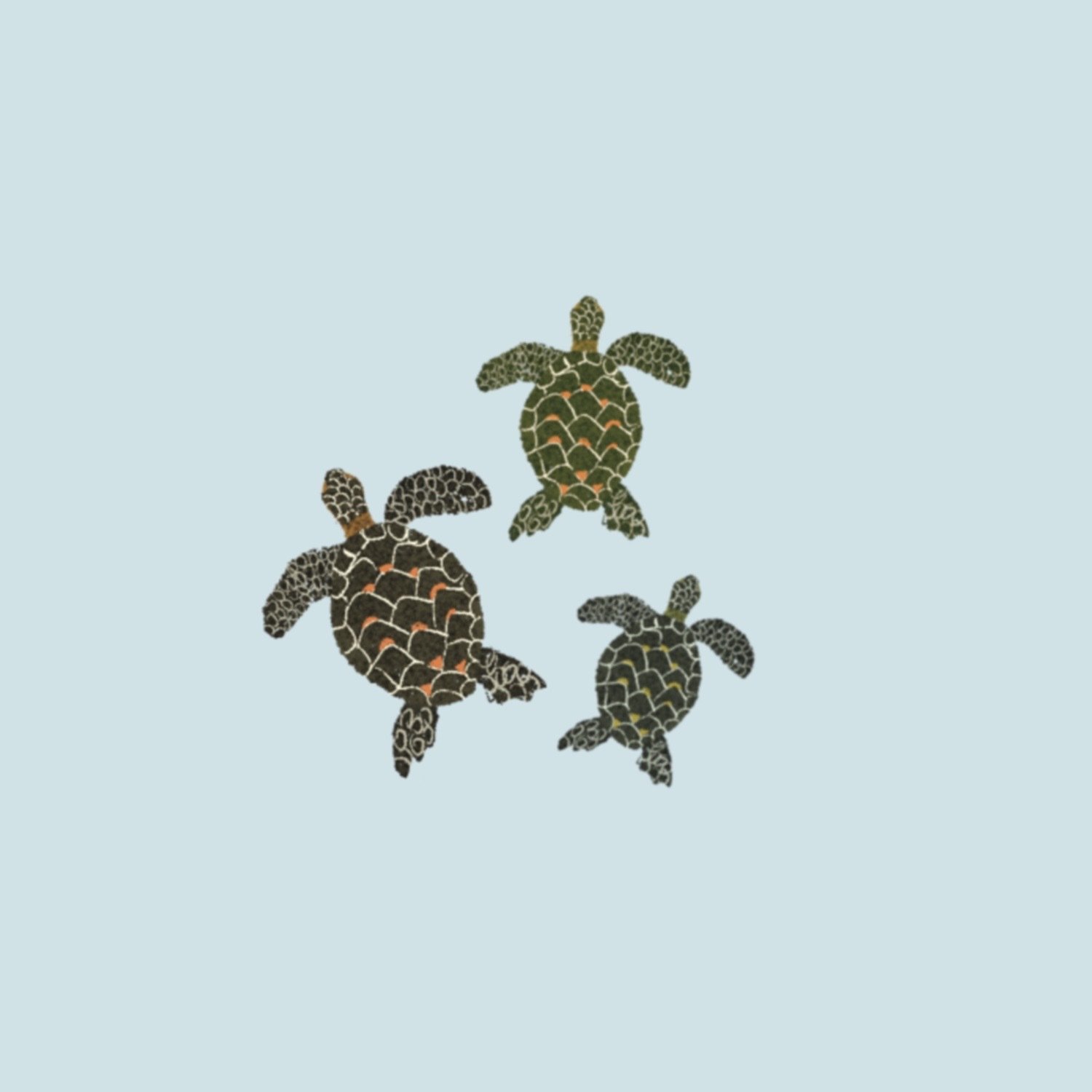 turtles_zanzibar_illustration.JPG