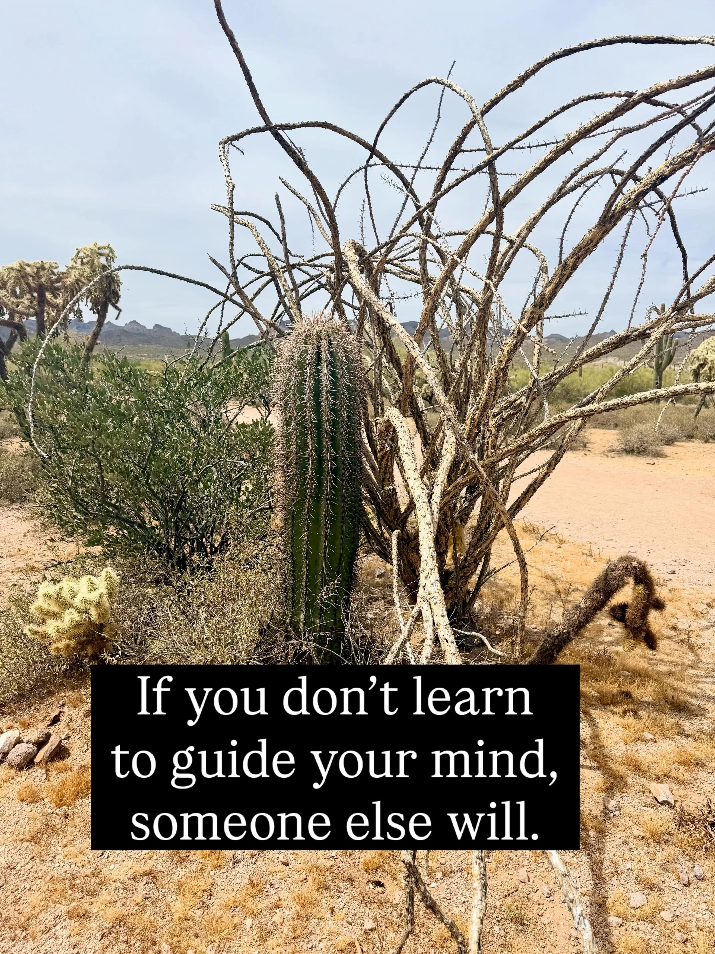 &ldquo;If you can&rsquo;t control your mind, somebody else is going to.&rdquo;

At first glance, this sounds like a warning. But I see it as an invitation.

Most of us move through life reacting&mdash;to expectations, algorithms, stress, old stories,