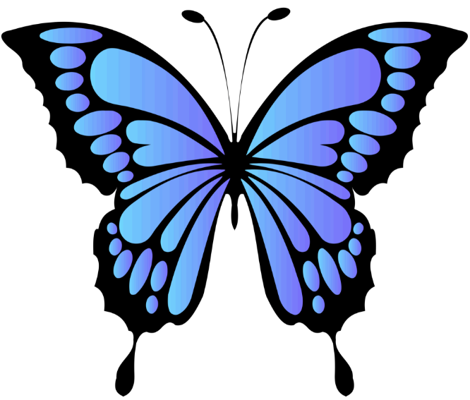 Upgrades &amp; The Ascension - A Channeled Message