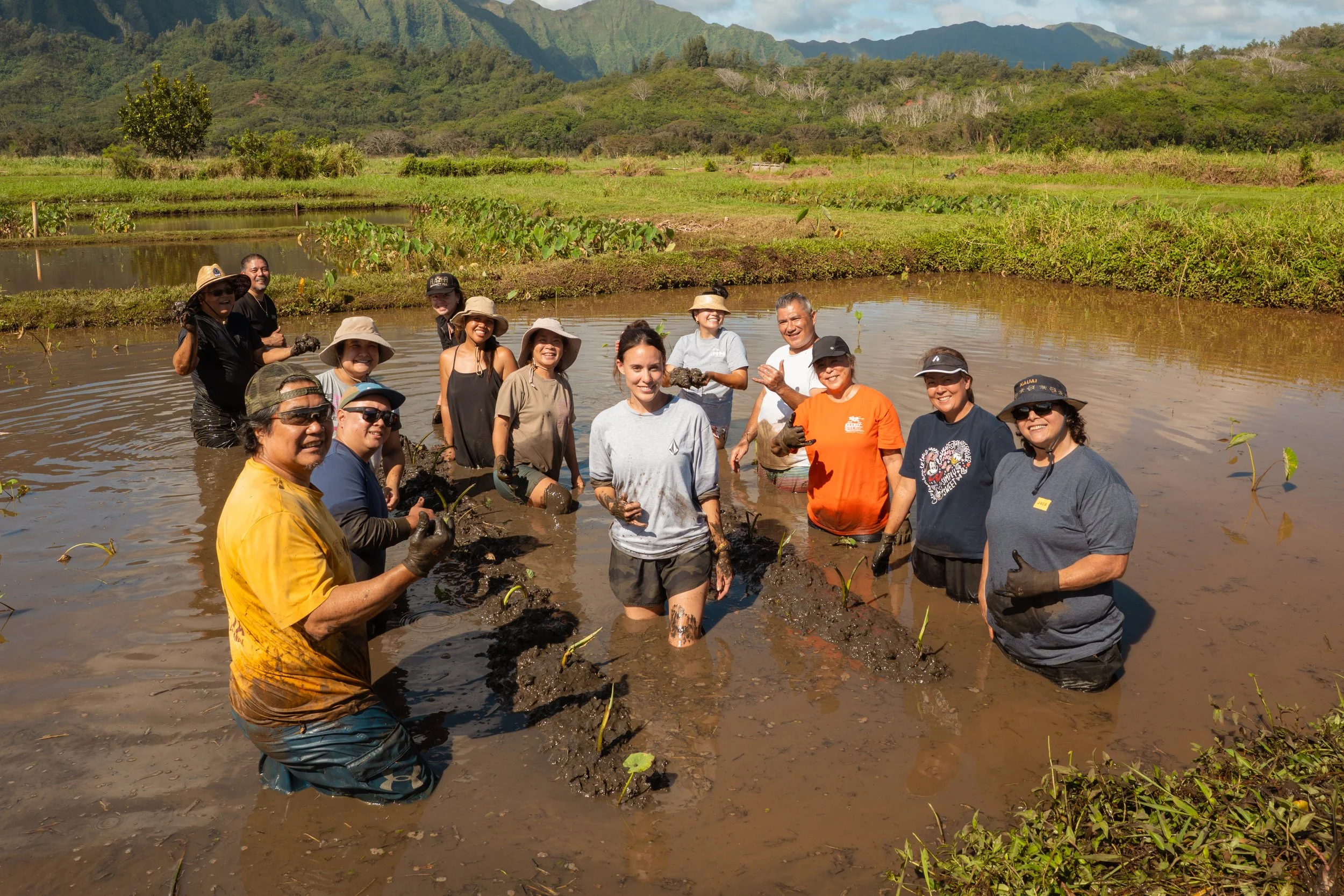 A group of people standing in a muddy rice paddy field, smiling and holding small plants, with lush green fields and forested mountains in the background on a sunny day.