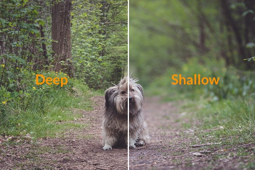 guide-to-depth-of-field.jpg