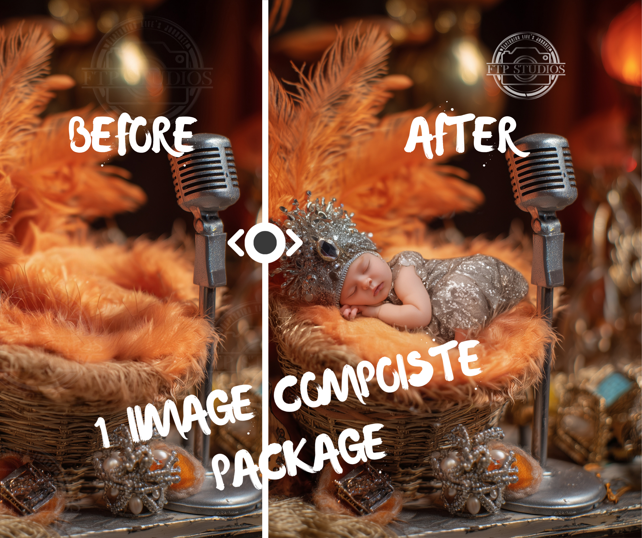 ONE Digital Composite Editing package - One Image only