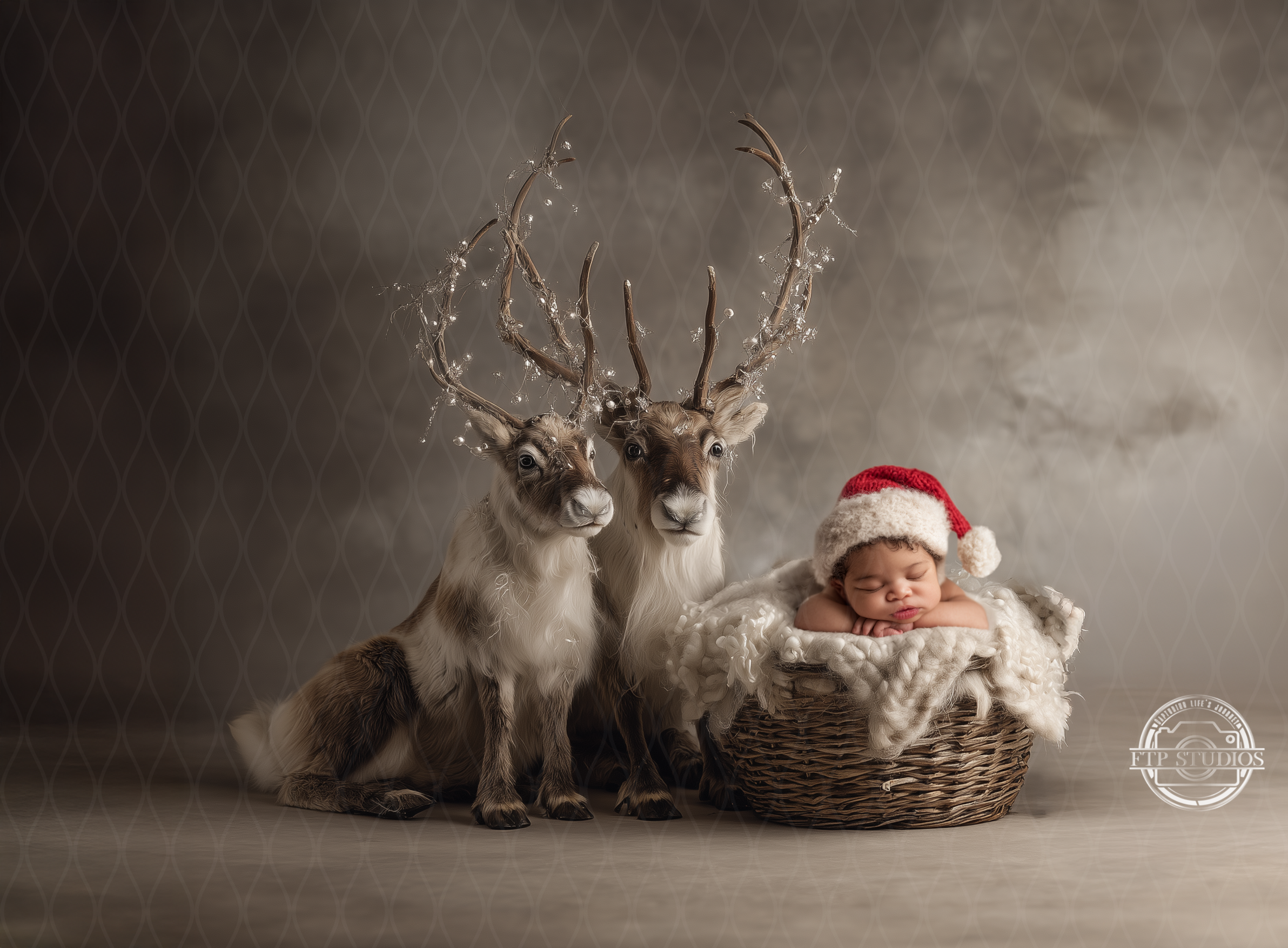 Christmas Lifelike Reindeer Newborn Digital Backdrop Pack — Set of 3 High-Resolution Backgrounds