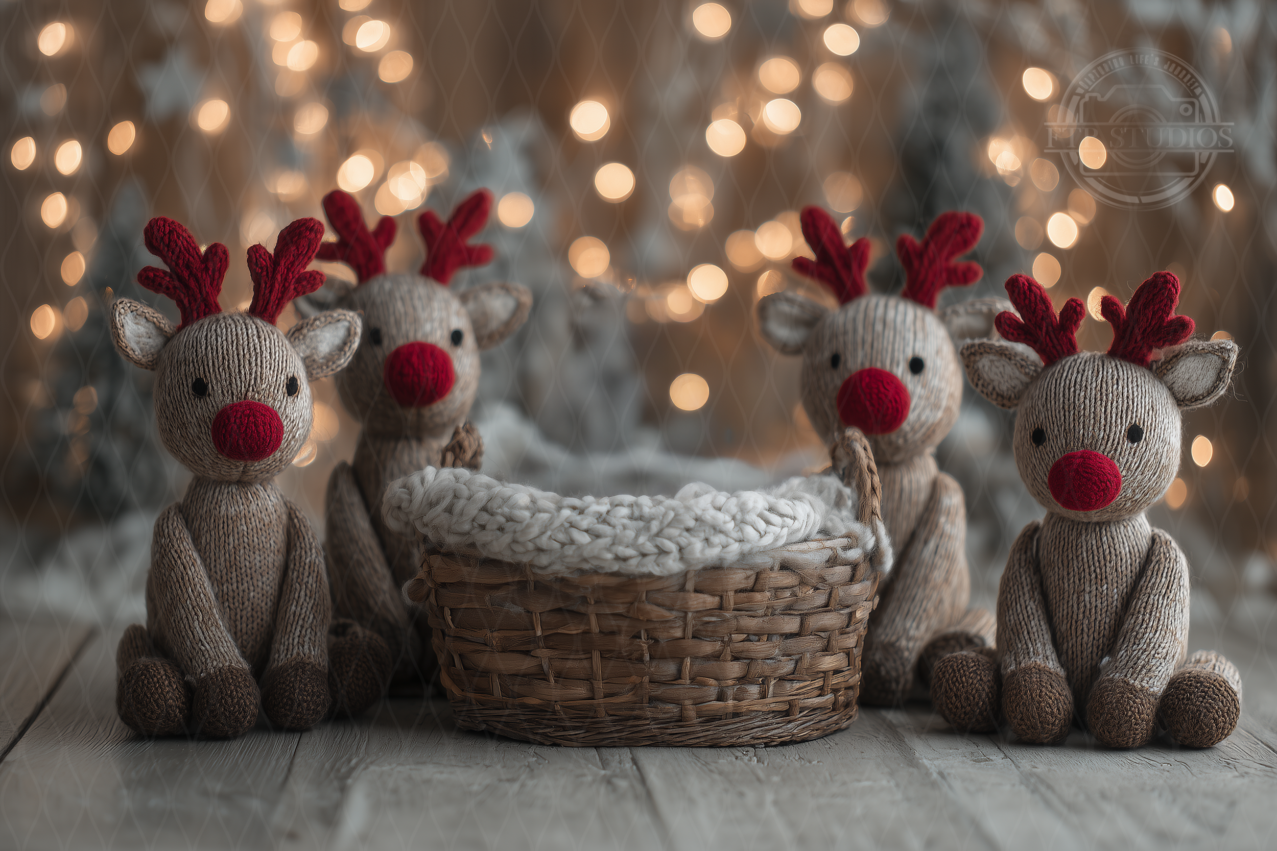 11reindeer without baby.png