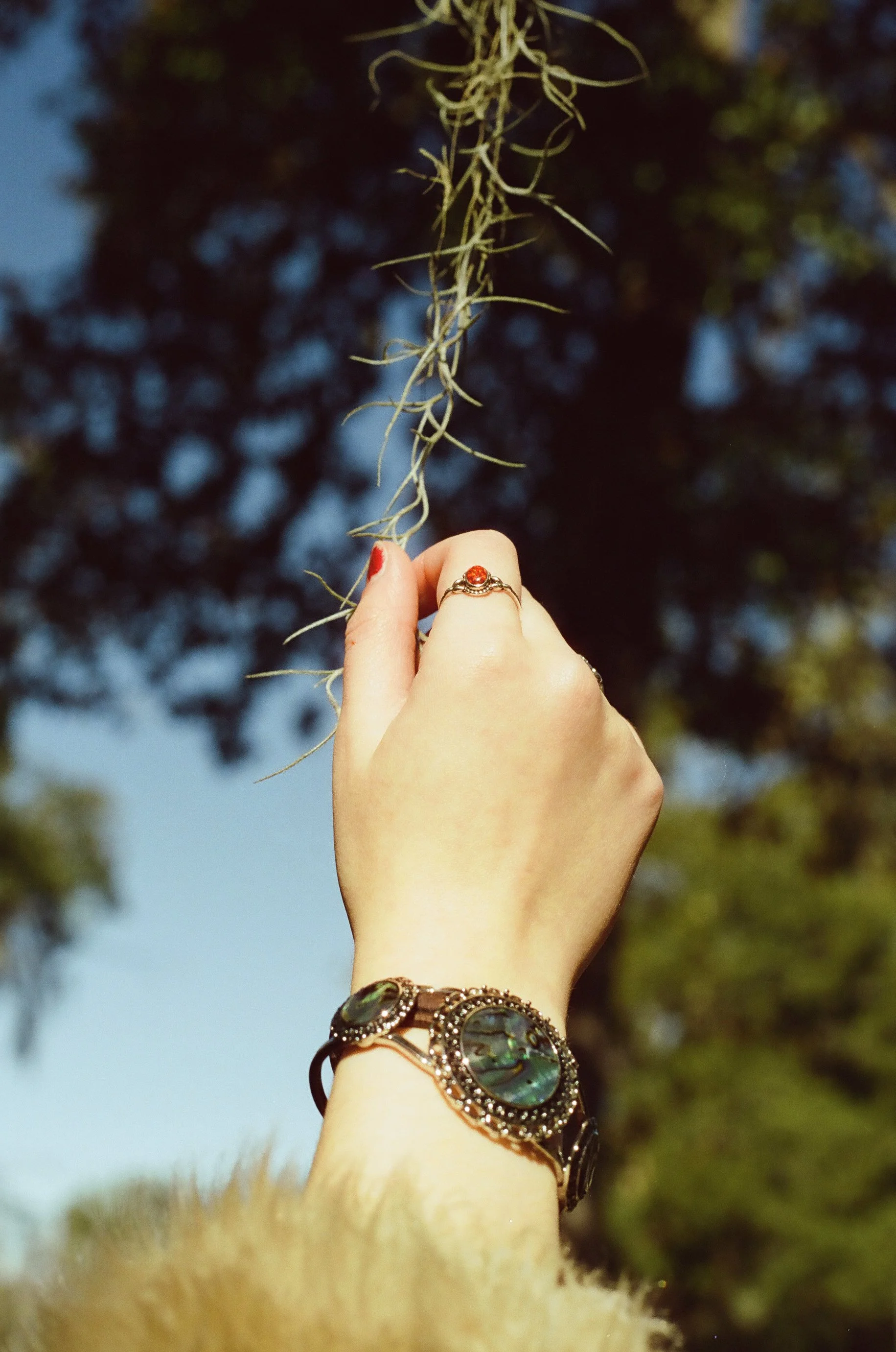 Hand-2.jpg