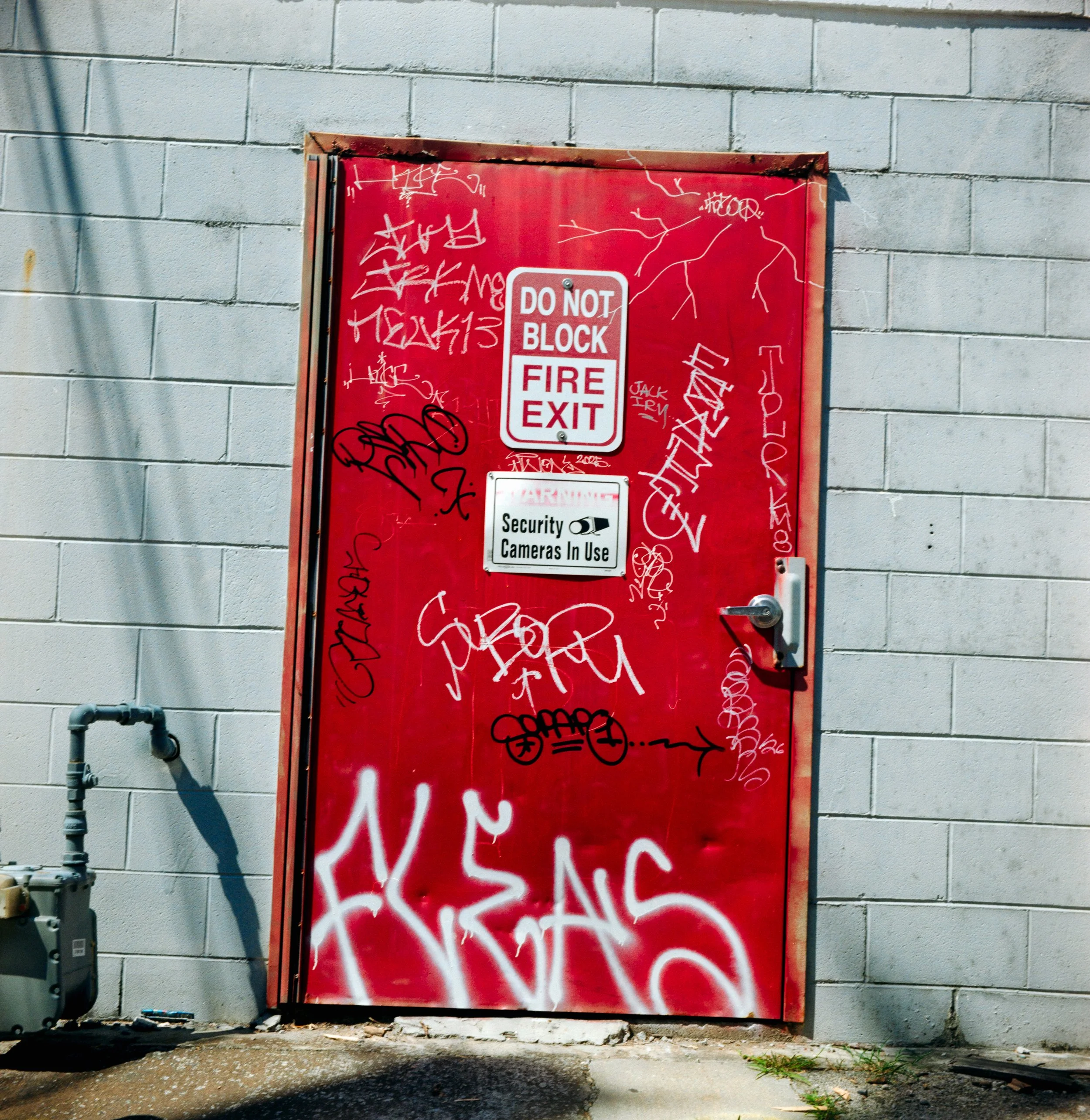 Savannahfilmlab-8.jpeg