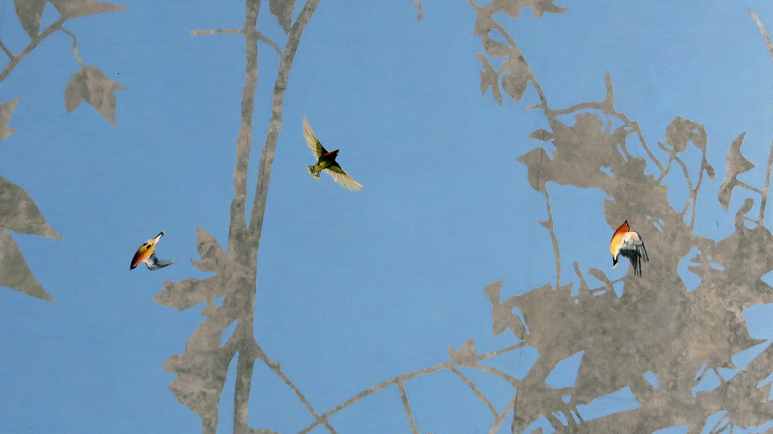 Bright Underbelly Overhead_Photo by LC Studio Tutto.jpg