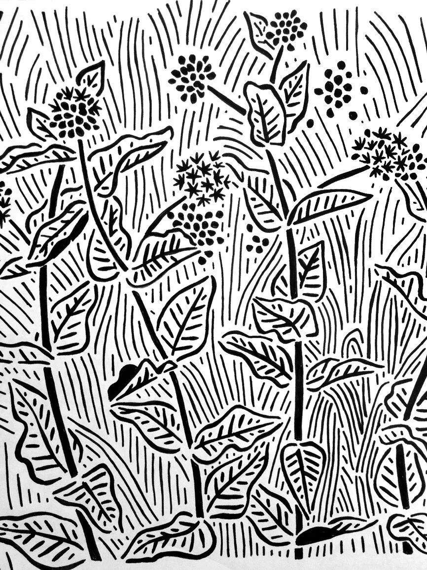 drawings1.jpg