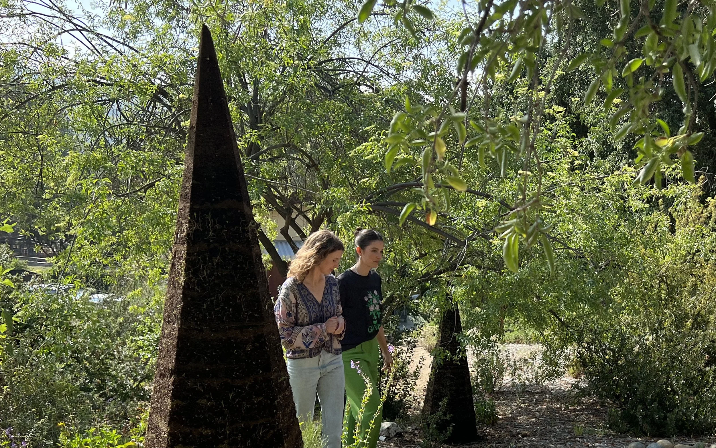 Seed Spires
