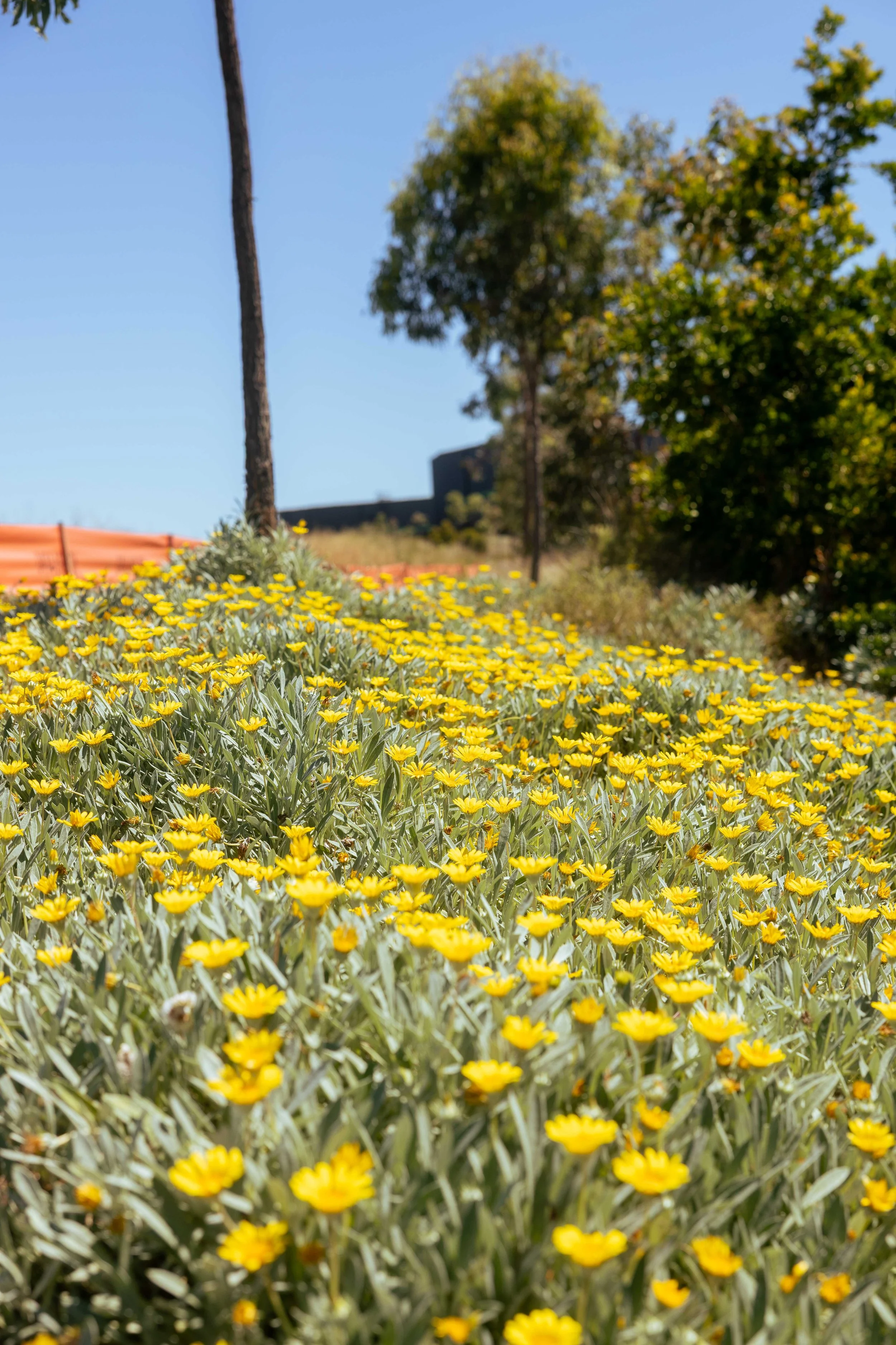 environmental compliance