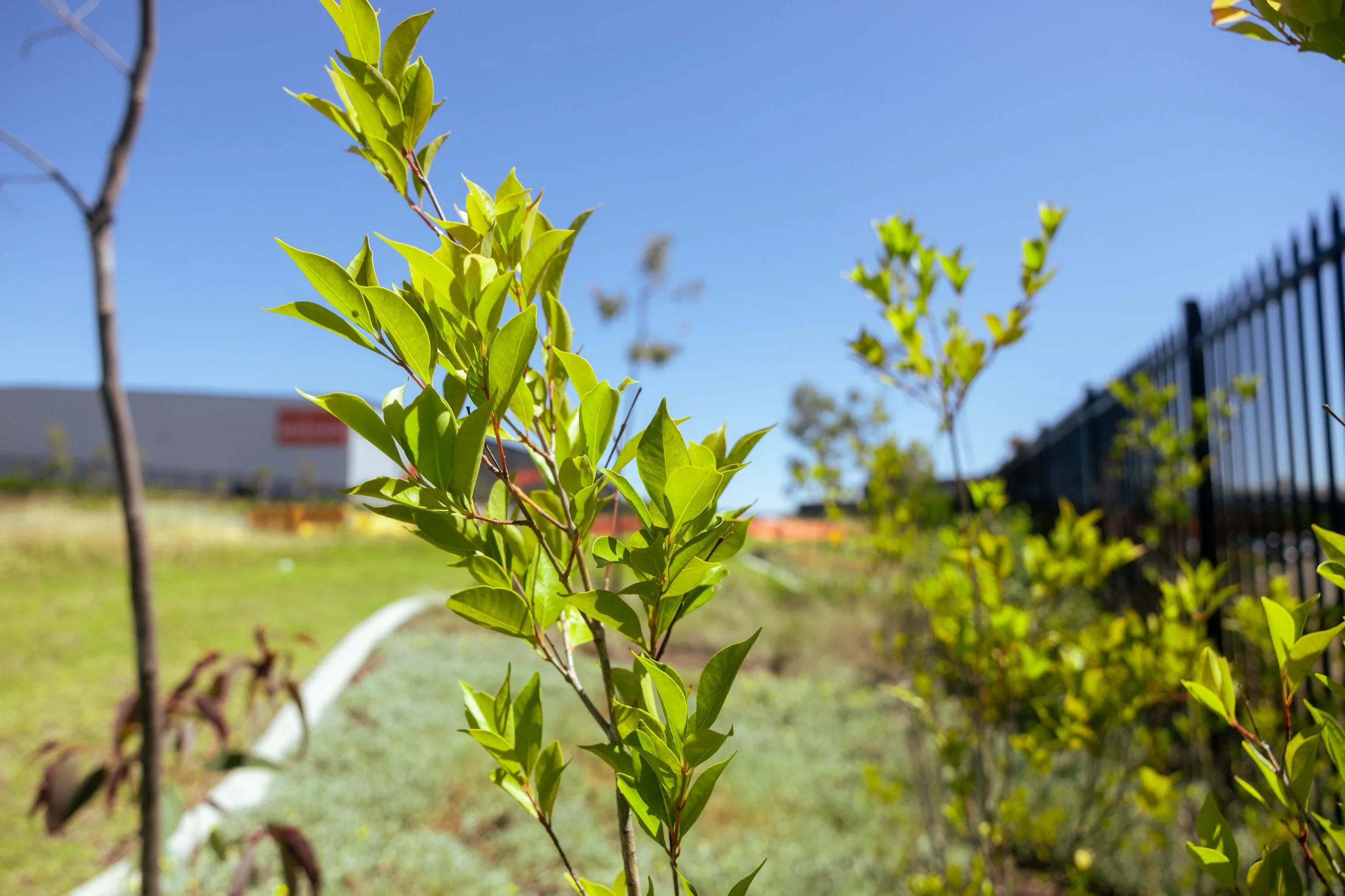 Environmental Management Success Stories