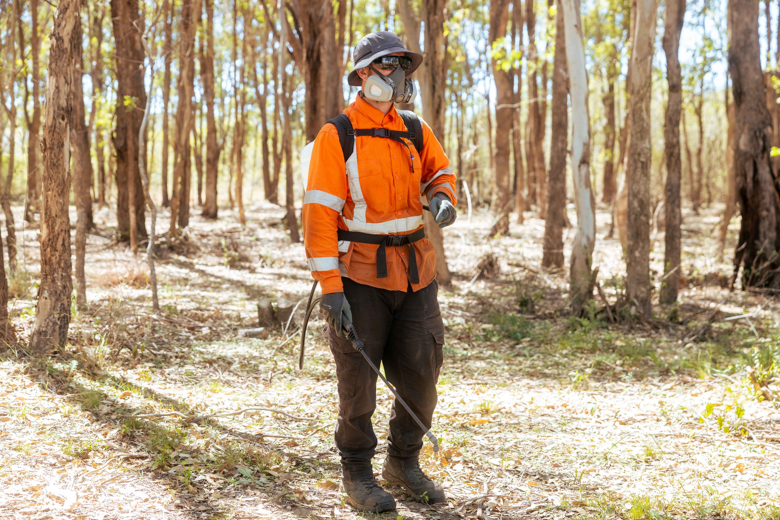 Why Active Environmental Management Matters