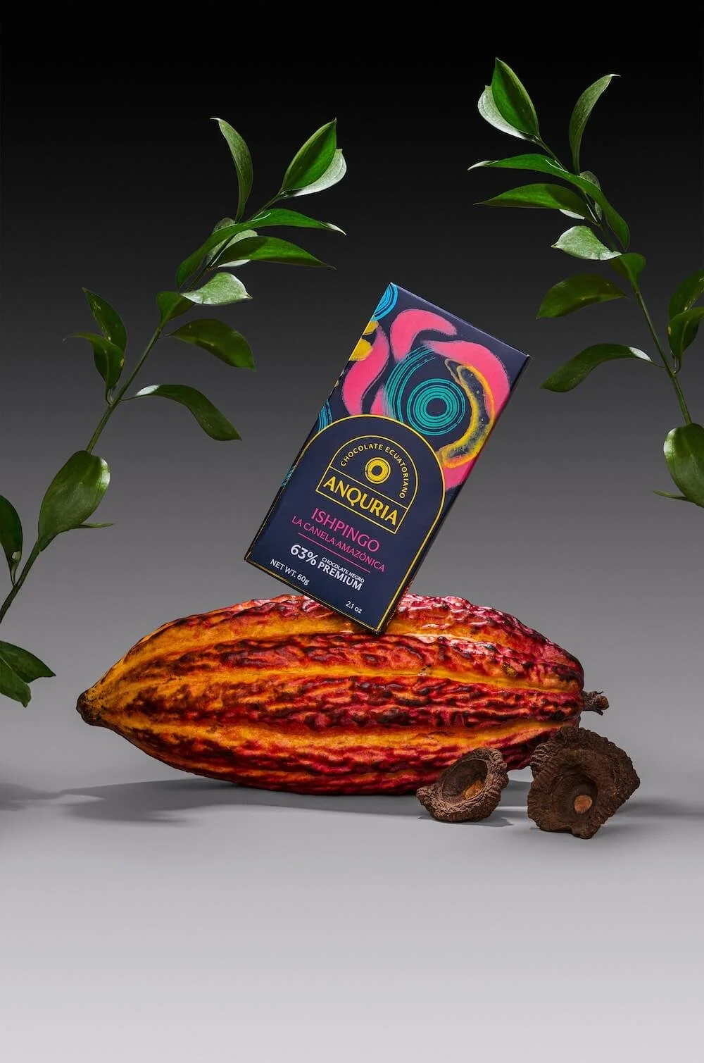 Dabrand - Anquria 50.jpg