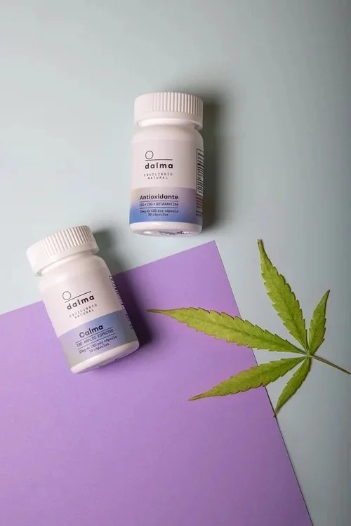 Dabrand - Dalma17.jpeg