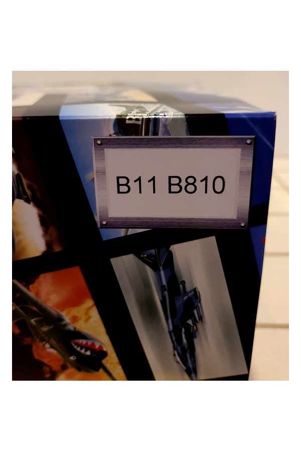 20251005_200440A_bgr .png