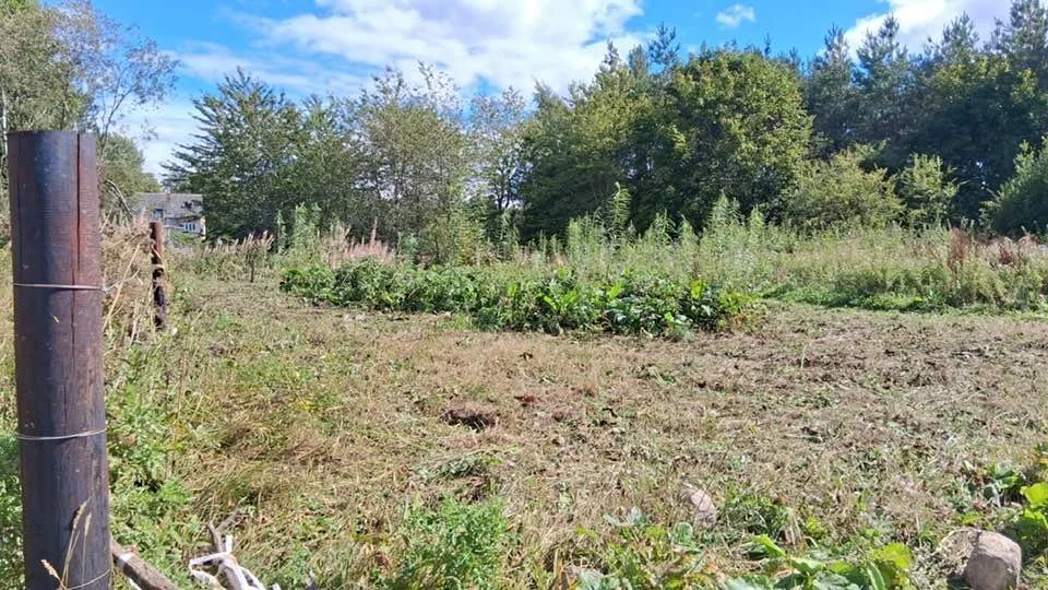 Feughside/Strachan Community Garden. A rural outdoor scene with a fenced field, green plants, trees in the background, and a house visible behind the trees. The sky is partly cloudy.
