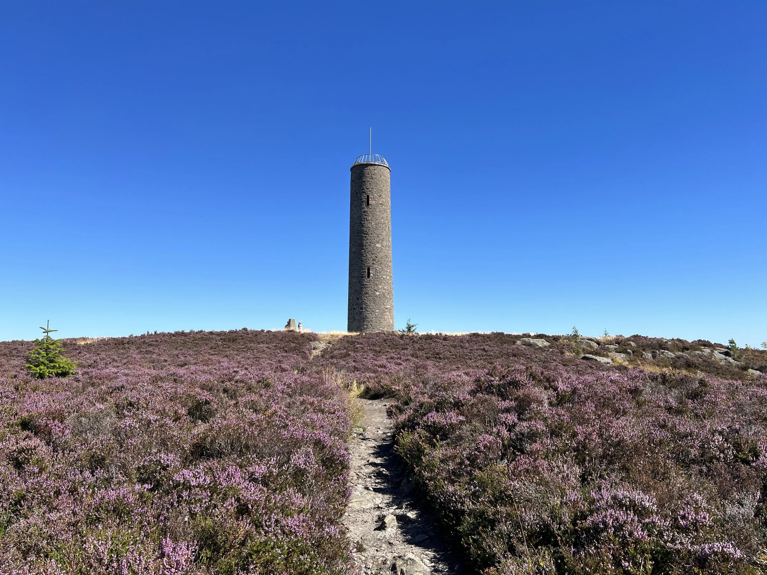 A tall, round stone tower standing atop a hill covered in pink and purple heather, with small trees around and a bright blue sky overhead.