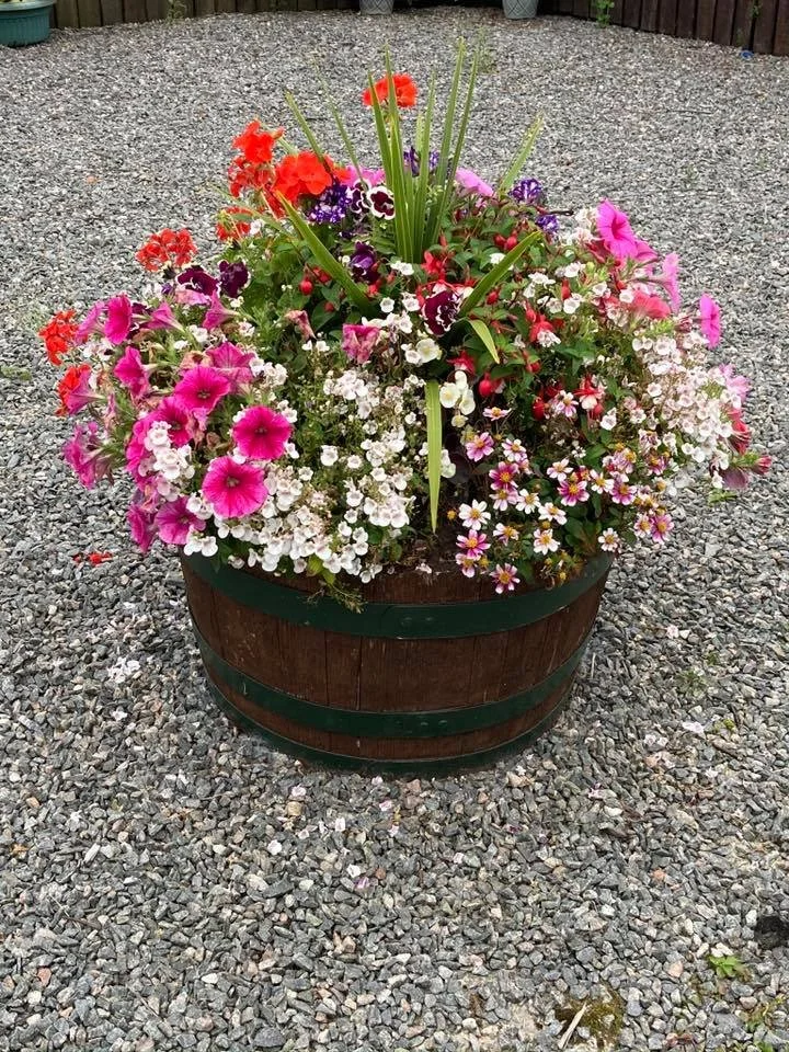 A round wooden planter in Strachan Village, filled with colourfu flowers including pink petunias, white alyssum, purple pansies, and yellow daisies, placed on gravel ground with a wooden fence in the background. Created by Strachan Flowers Group.