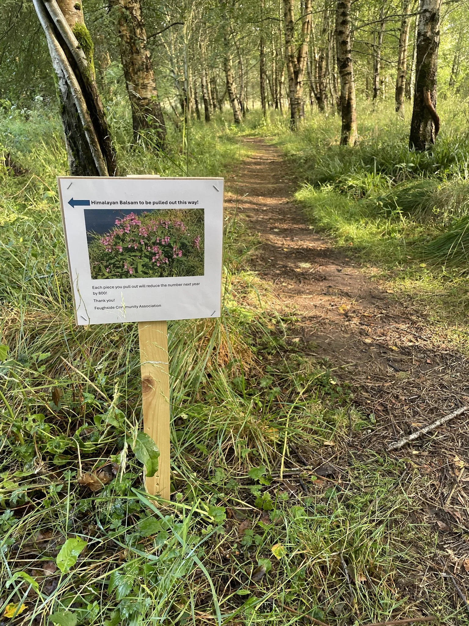 Feughside/Strachan Community Garden. A trail in a forest with trees and green foliage. A sign posted on a wooden stake indicates the direction to pull out Himalayan Balsam flowers for a community project.