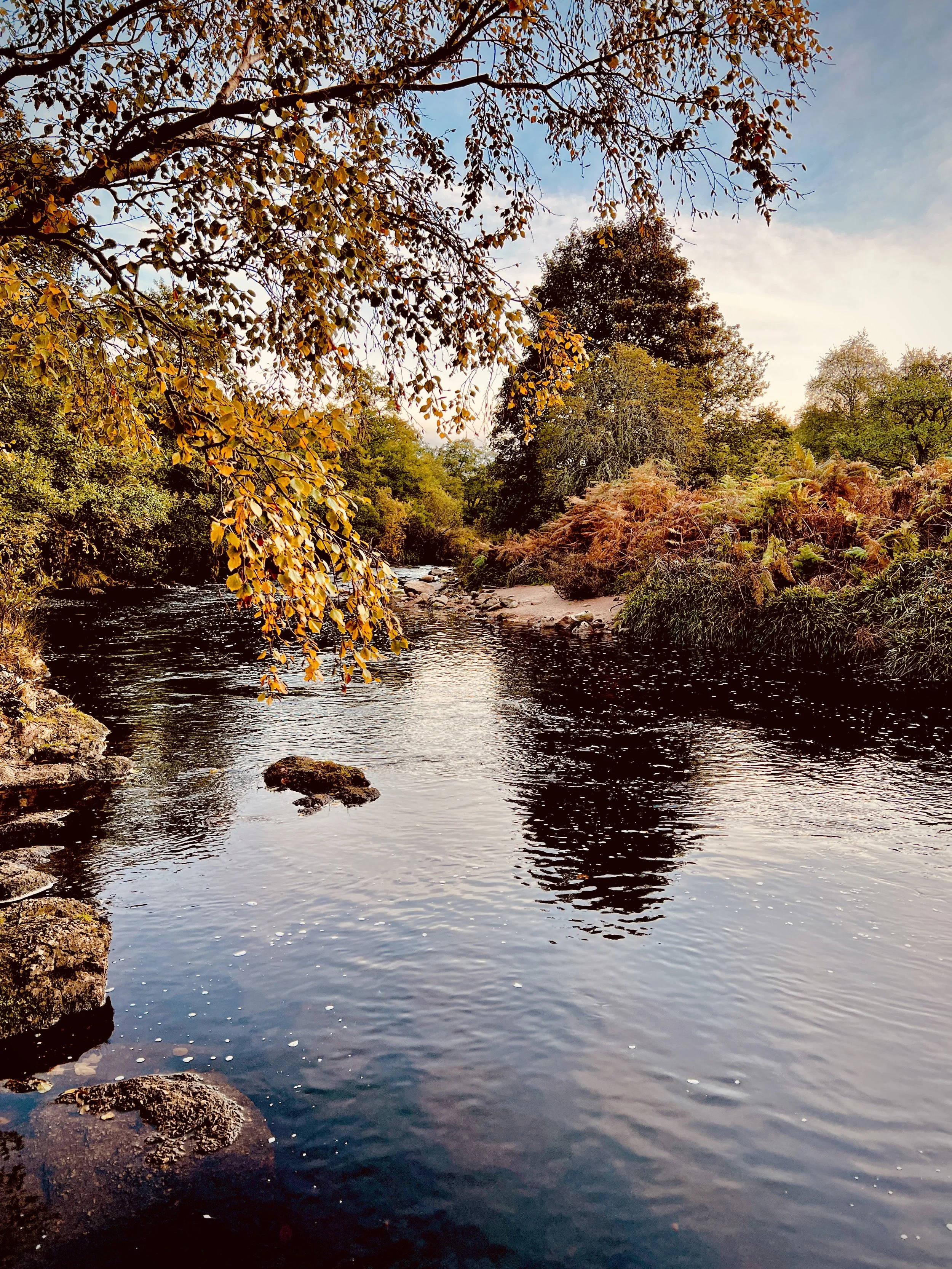 The river Feugh, in Aberdeenshire, peacefully flowing through a lush forest during autumn with trees and foliage in shades of orange, yellow, and green, under a partly cloudy sky.