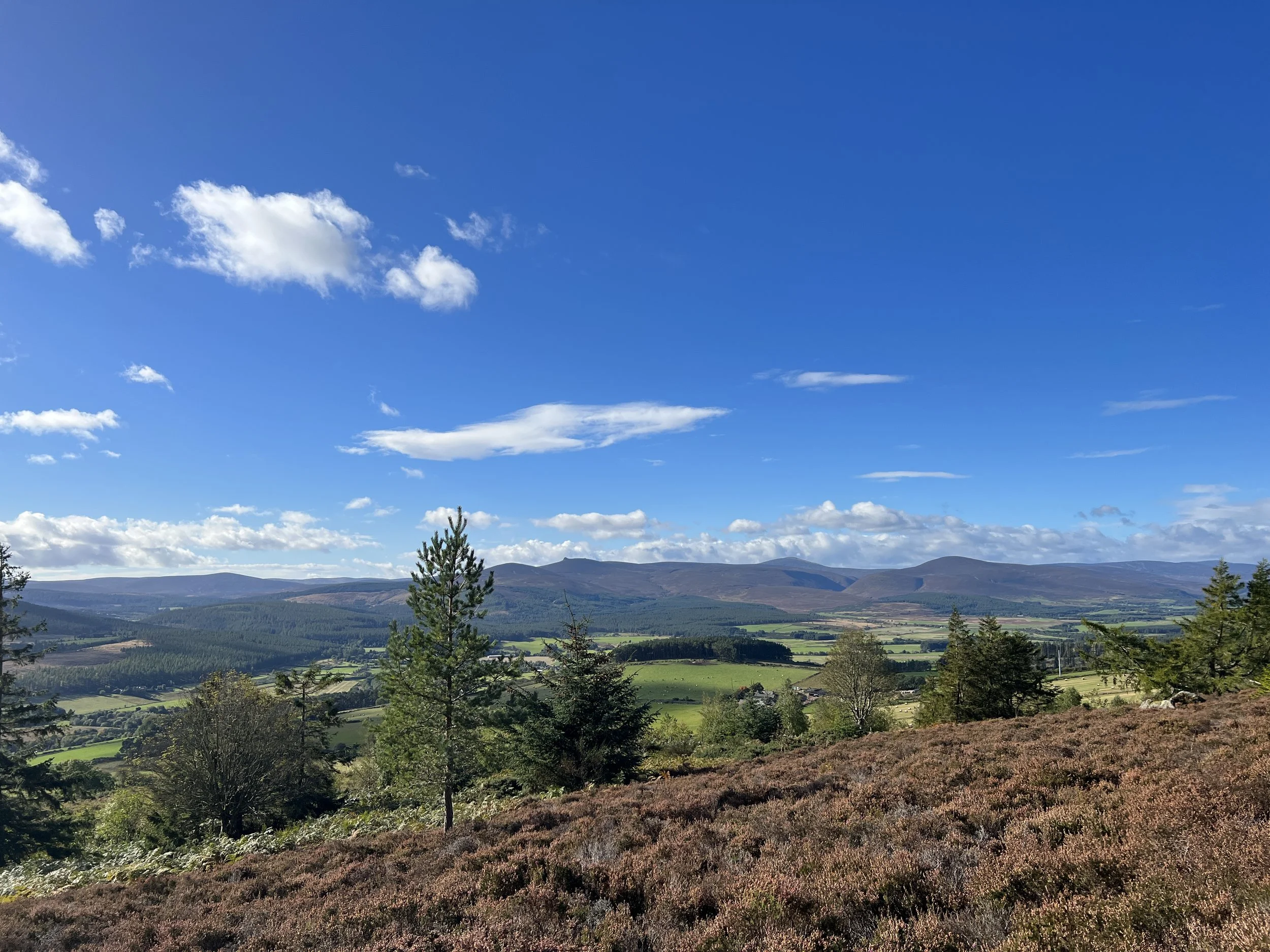 A scenic view of a lush green valley with trees, rolling hills, distant mountains, and a partly cloudy blue sky.