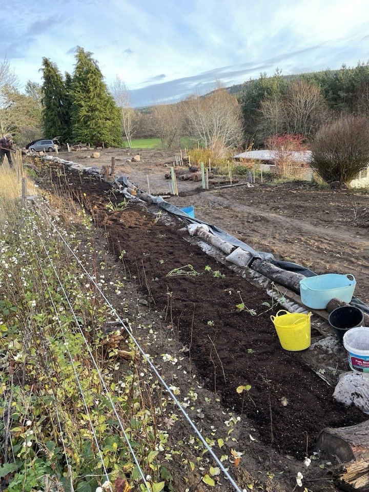 Feughside/Strachan Community garden. A garden with freshly tilled soil, gardening tools and buckets, and trellises along the left side, with a backdrop of trees and cloudy sky.