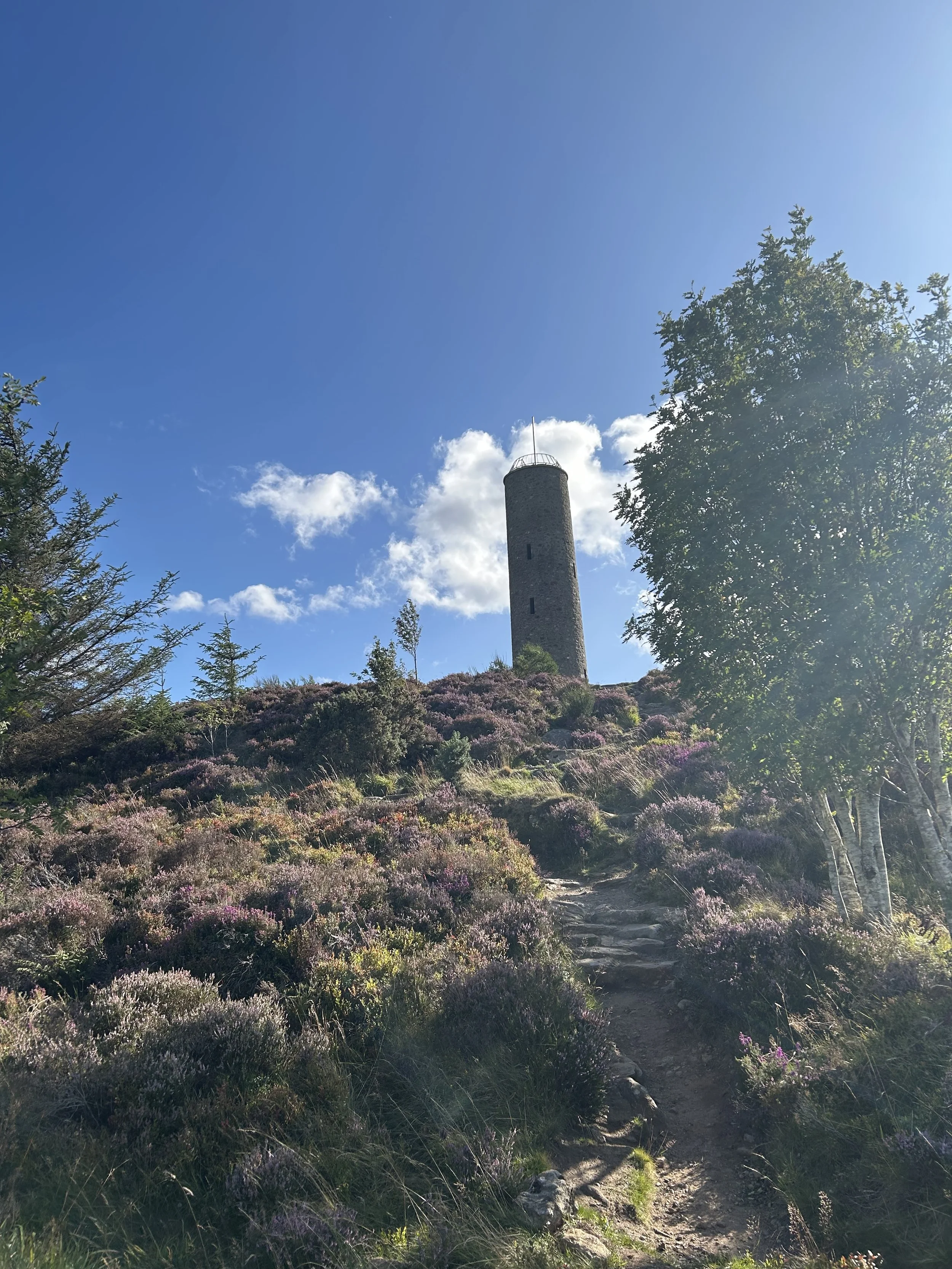A dirt trail leading uphill through purple flowering bushes and green trees, with a tall stone tower and blue sky with clouds in the background.