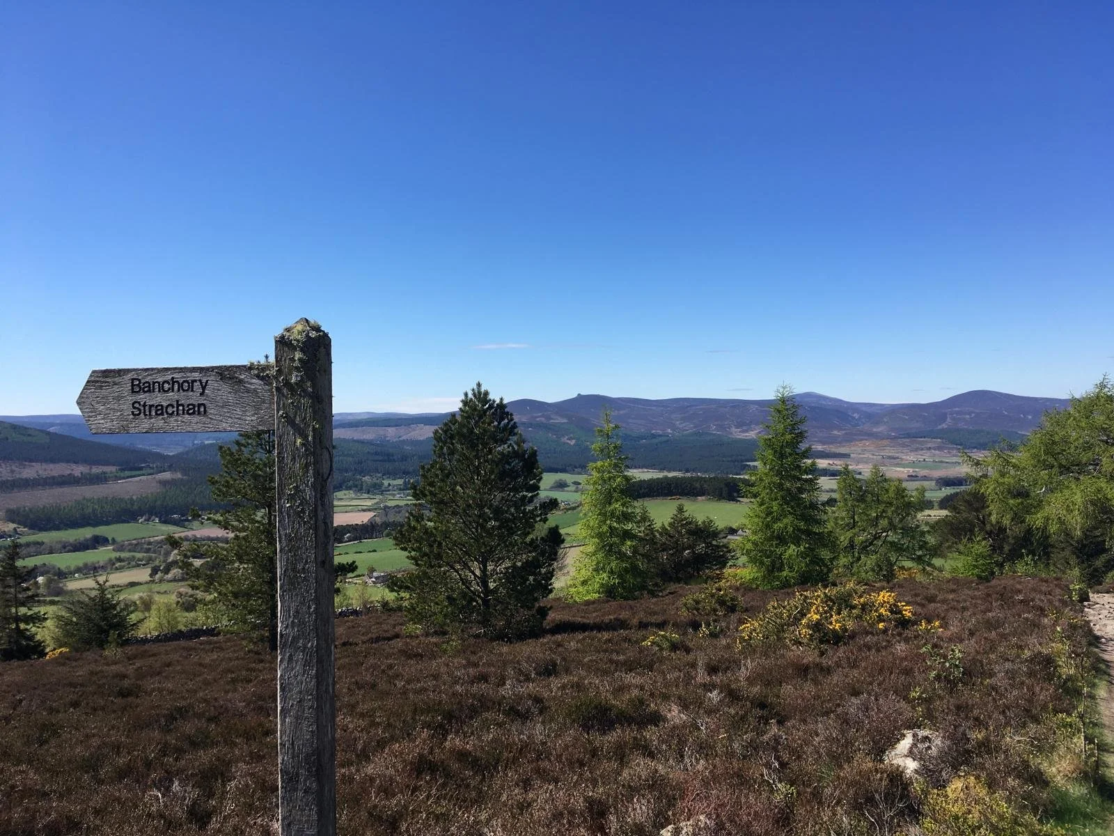 WhatsApp Image 2025-08-17 at 16.15.30 (28).jpeg