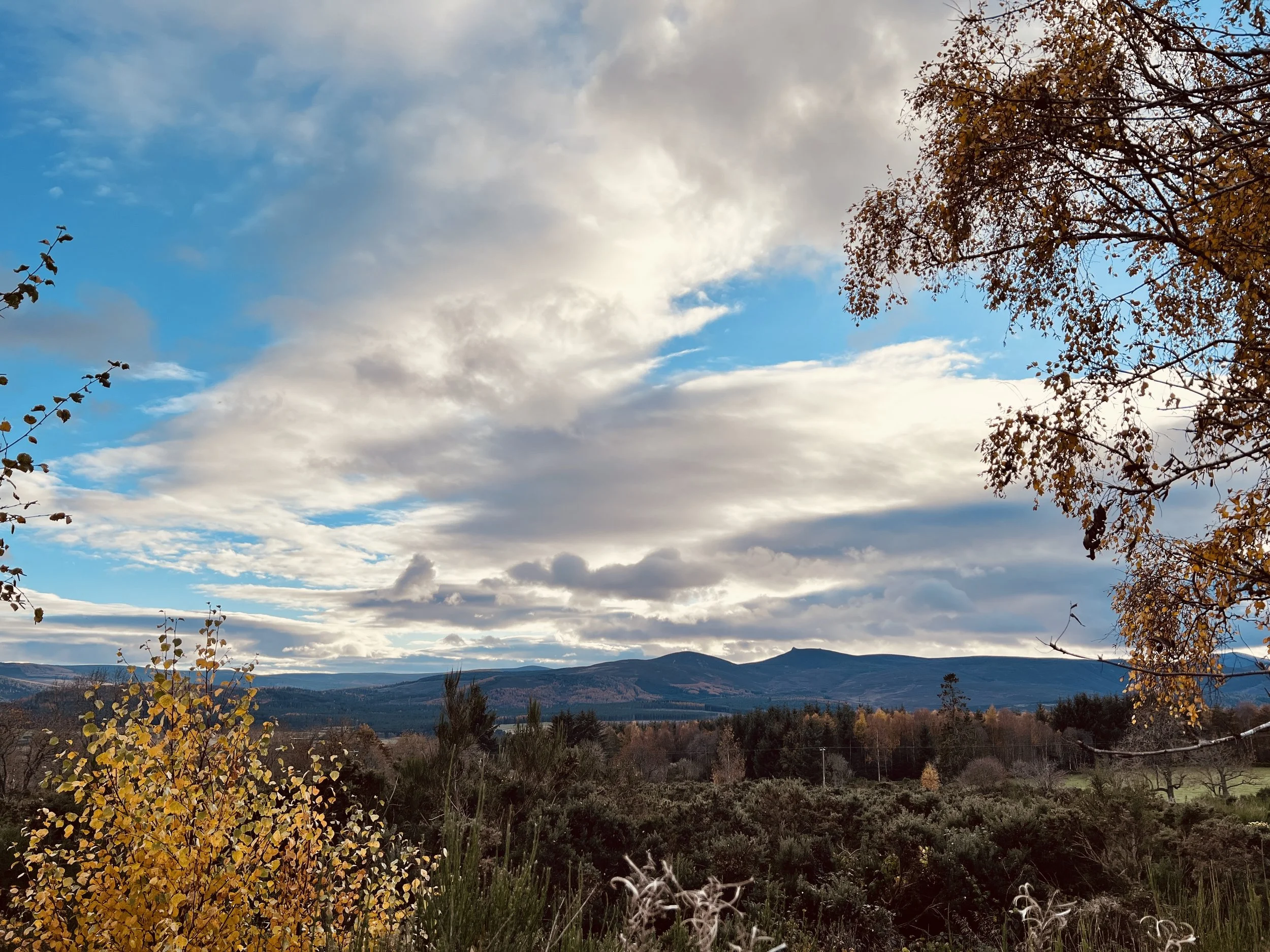 A scenic landscape of rolling hills and mountains under a partly cloudy sky, with trees and autumn foliage in the foreground.