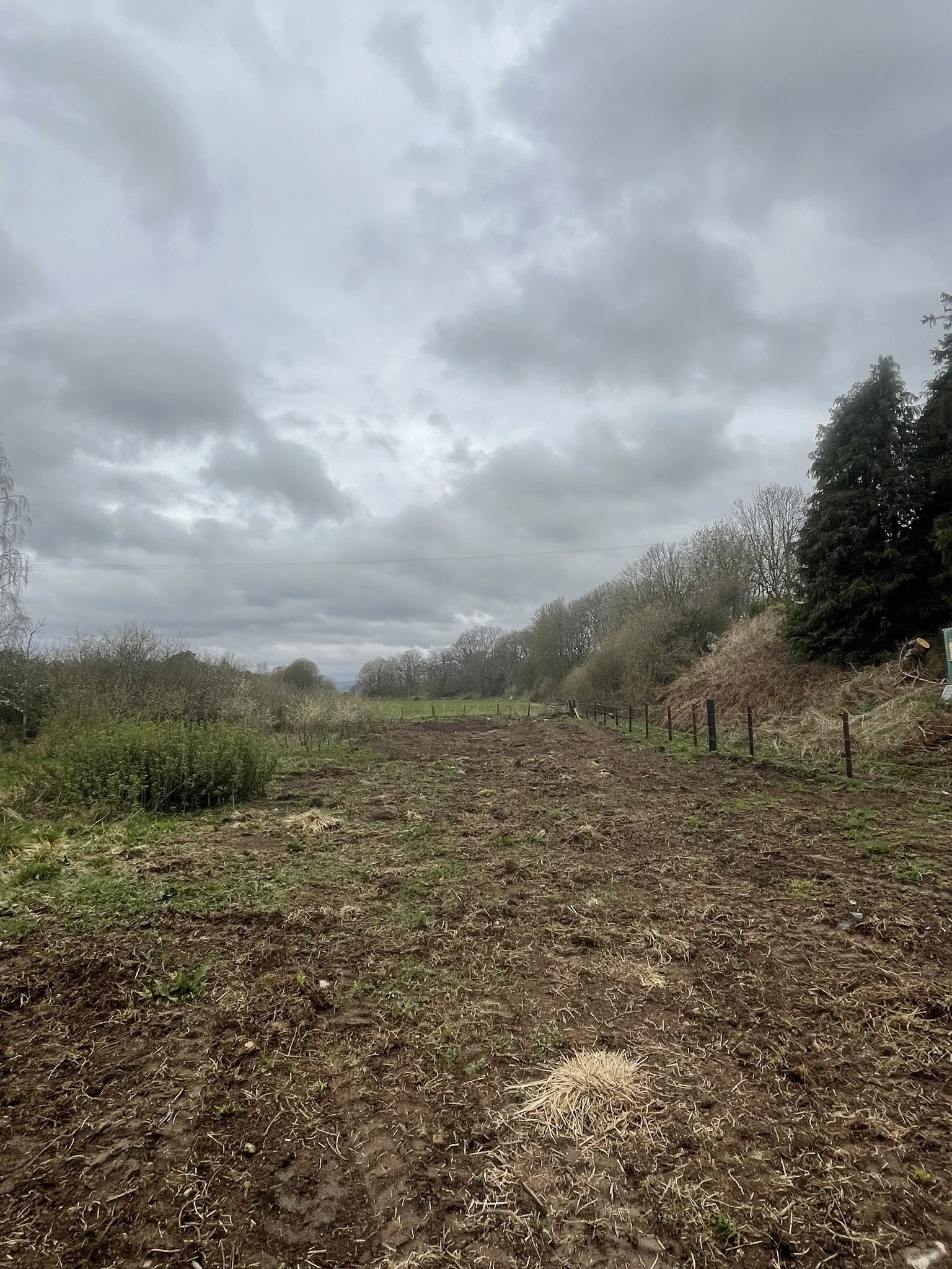 Feughside/Strachan Community Garden. A dirt path or field with some grass and weeds, bordered by trees and bushes under a cloudy sky.