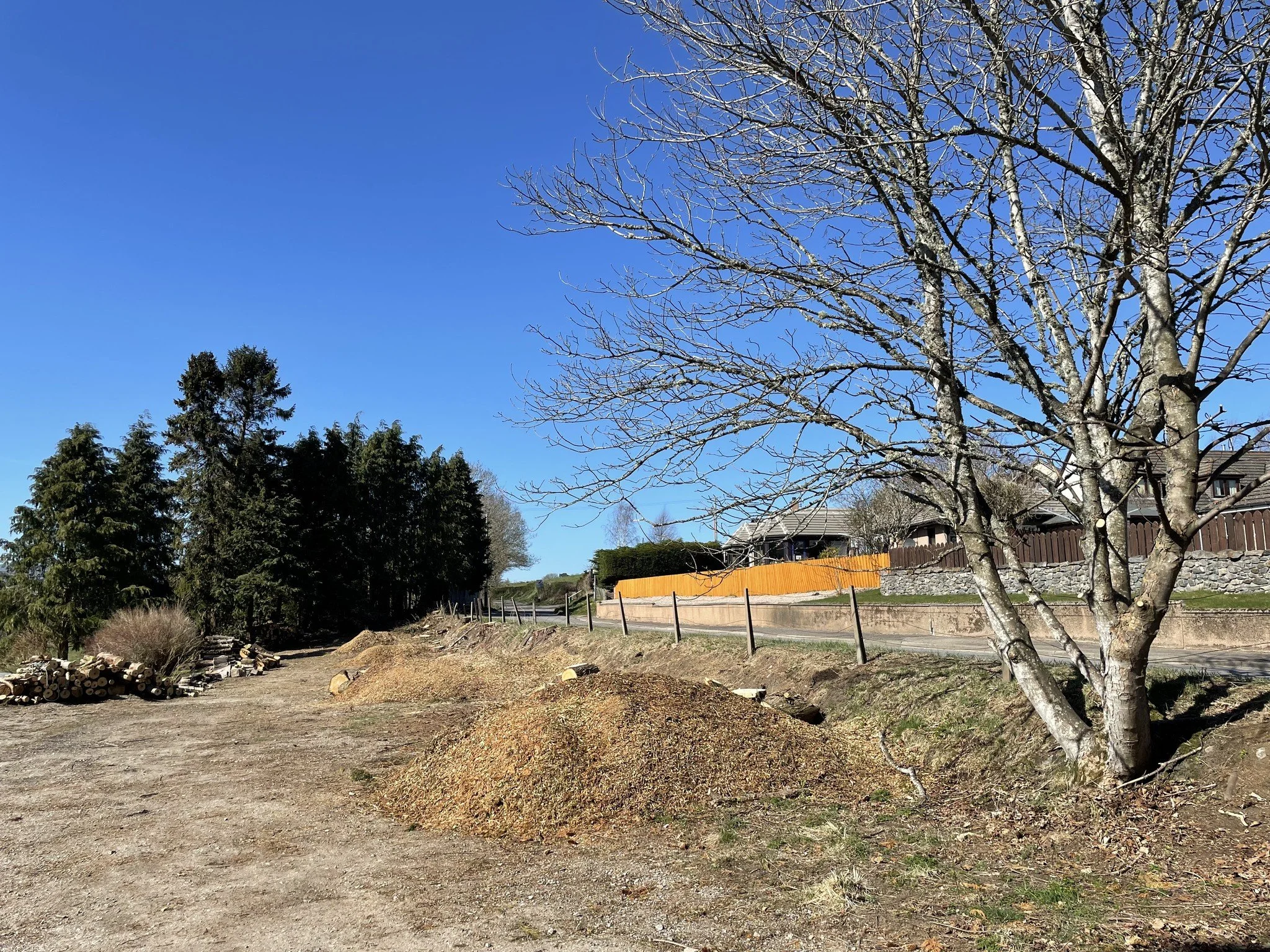 Feughside/Strachan Community Garden. A dirt path next to a row of trees with no leaves on a sunny day, with houses and a wooden fence in the background.