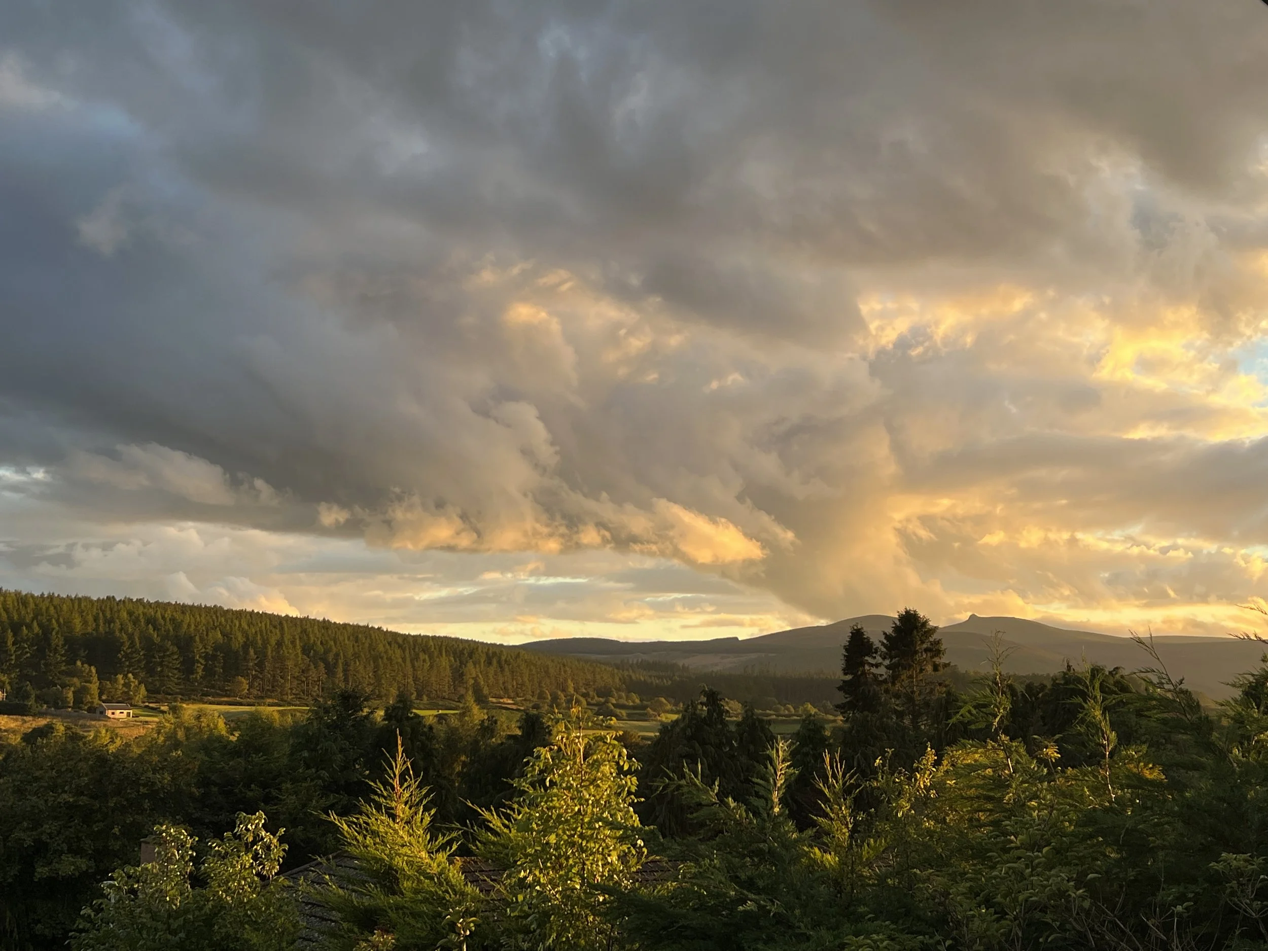 A scenic landscape with a cloudy sky, lush green trees, and distant mountains during sunset.